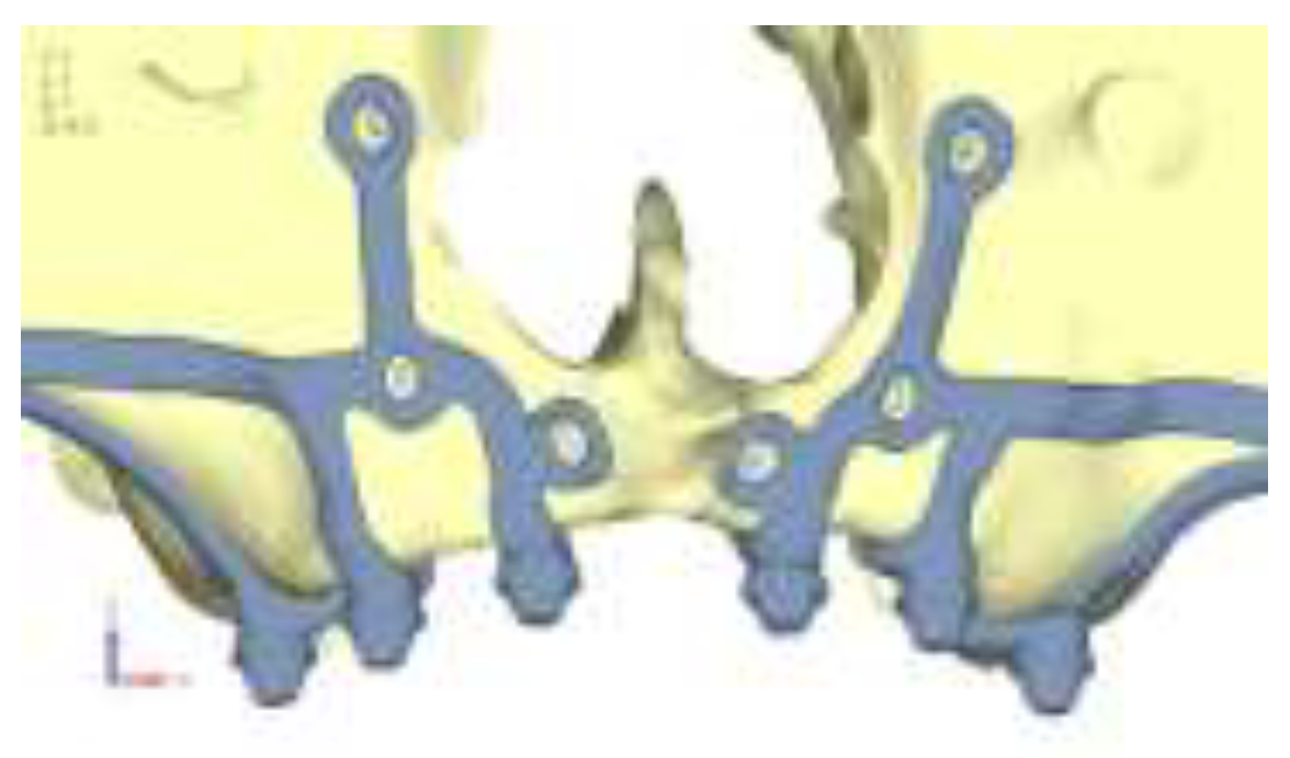 Preprints 141945 g008