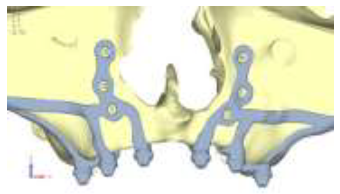 Preprints 141945 g010