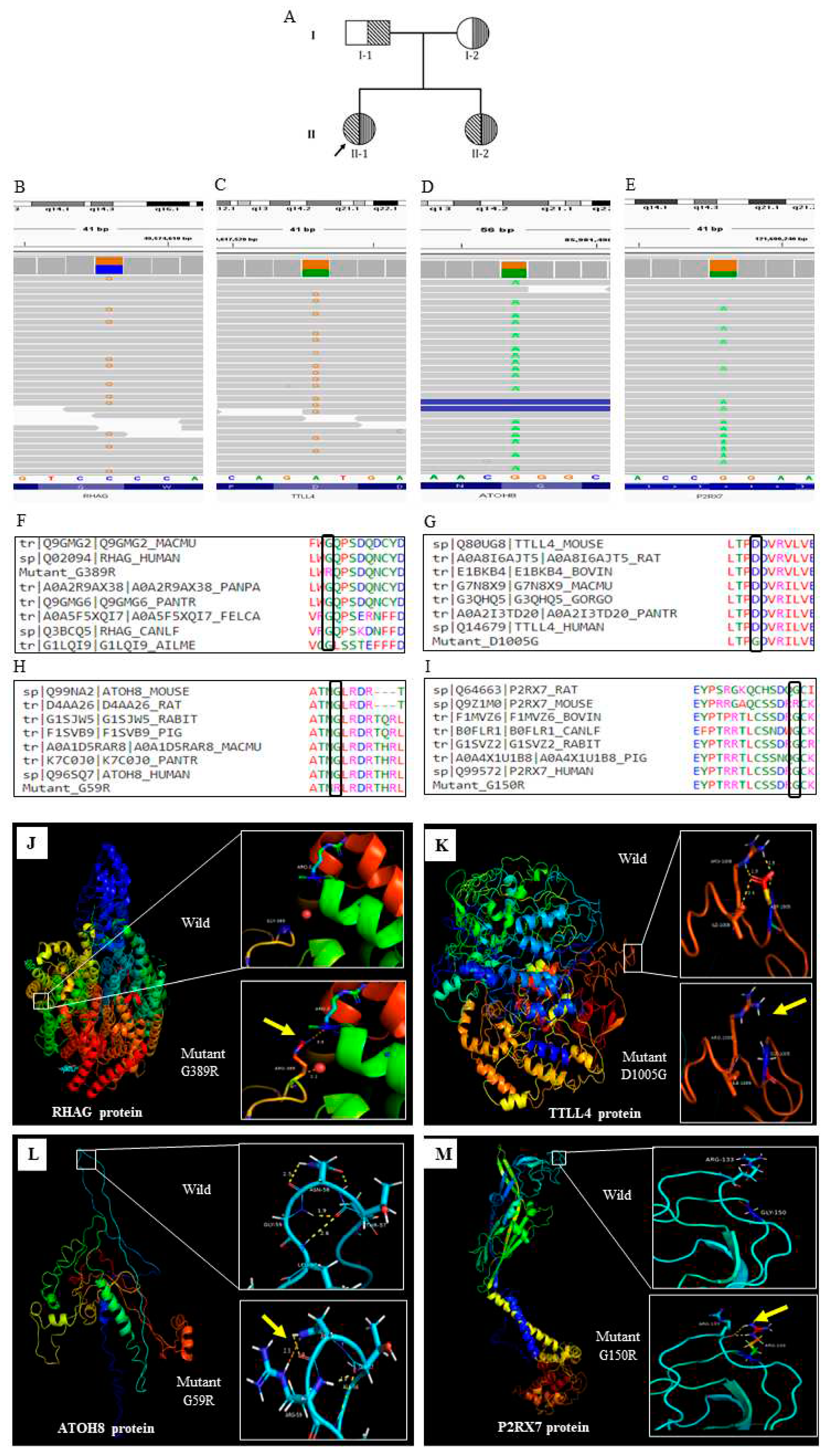 Preprints 66922 g001