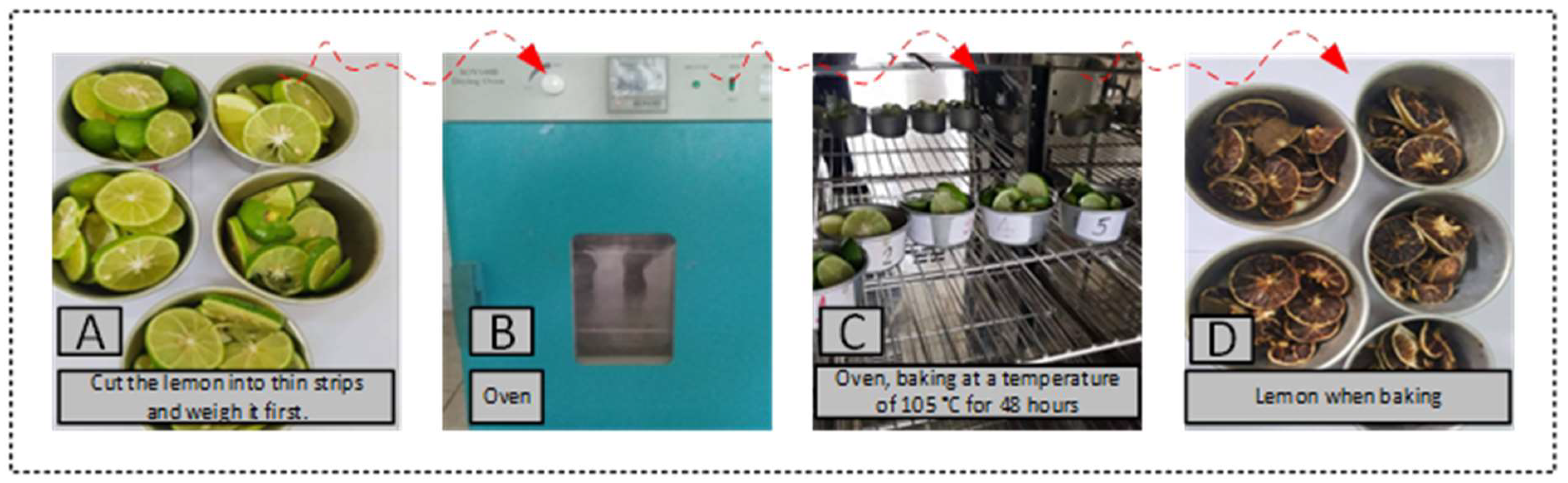 Preprints 155315 g006