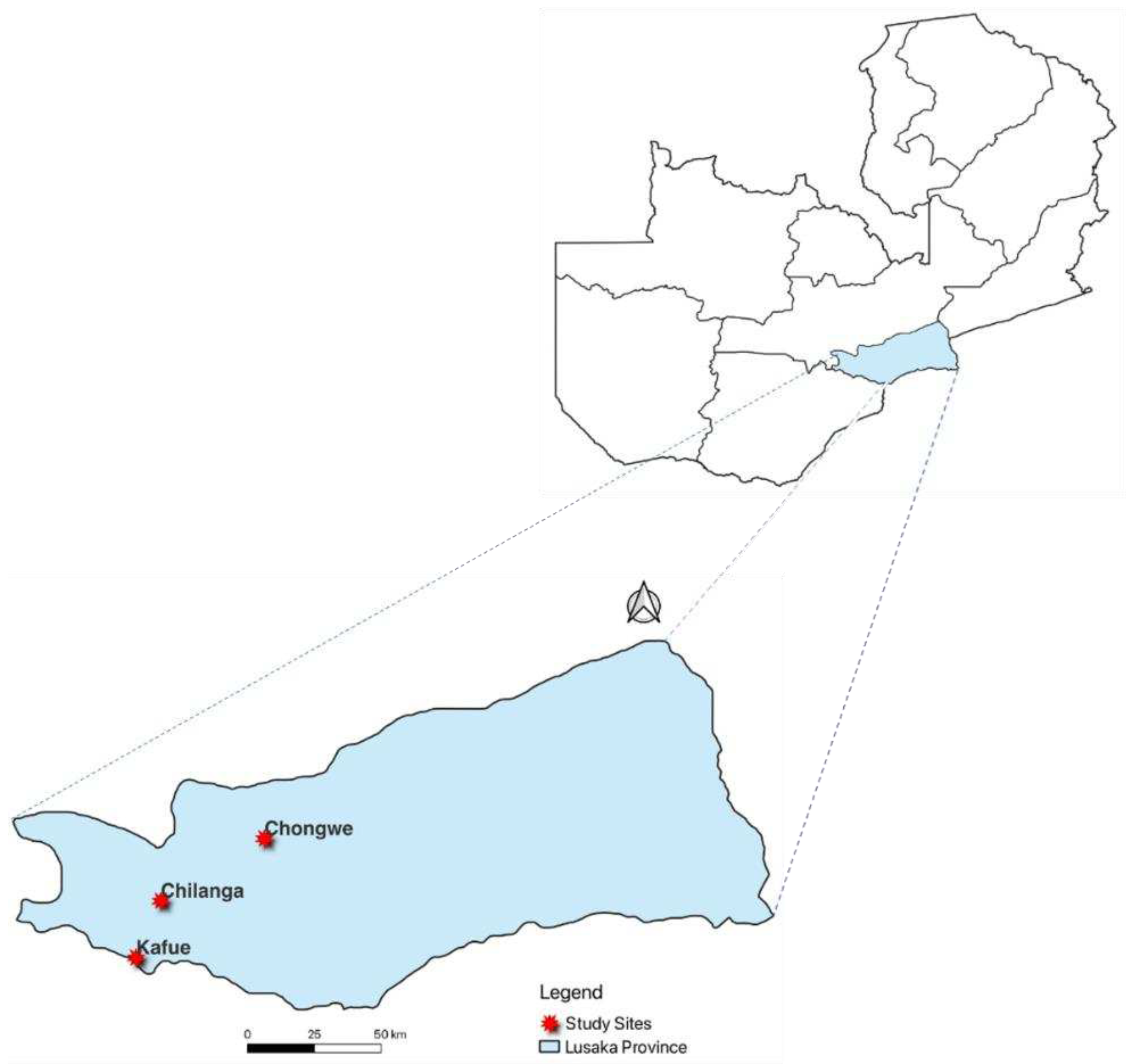 Preprints 82455 g001