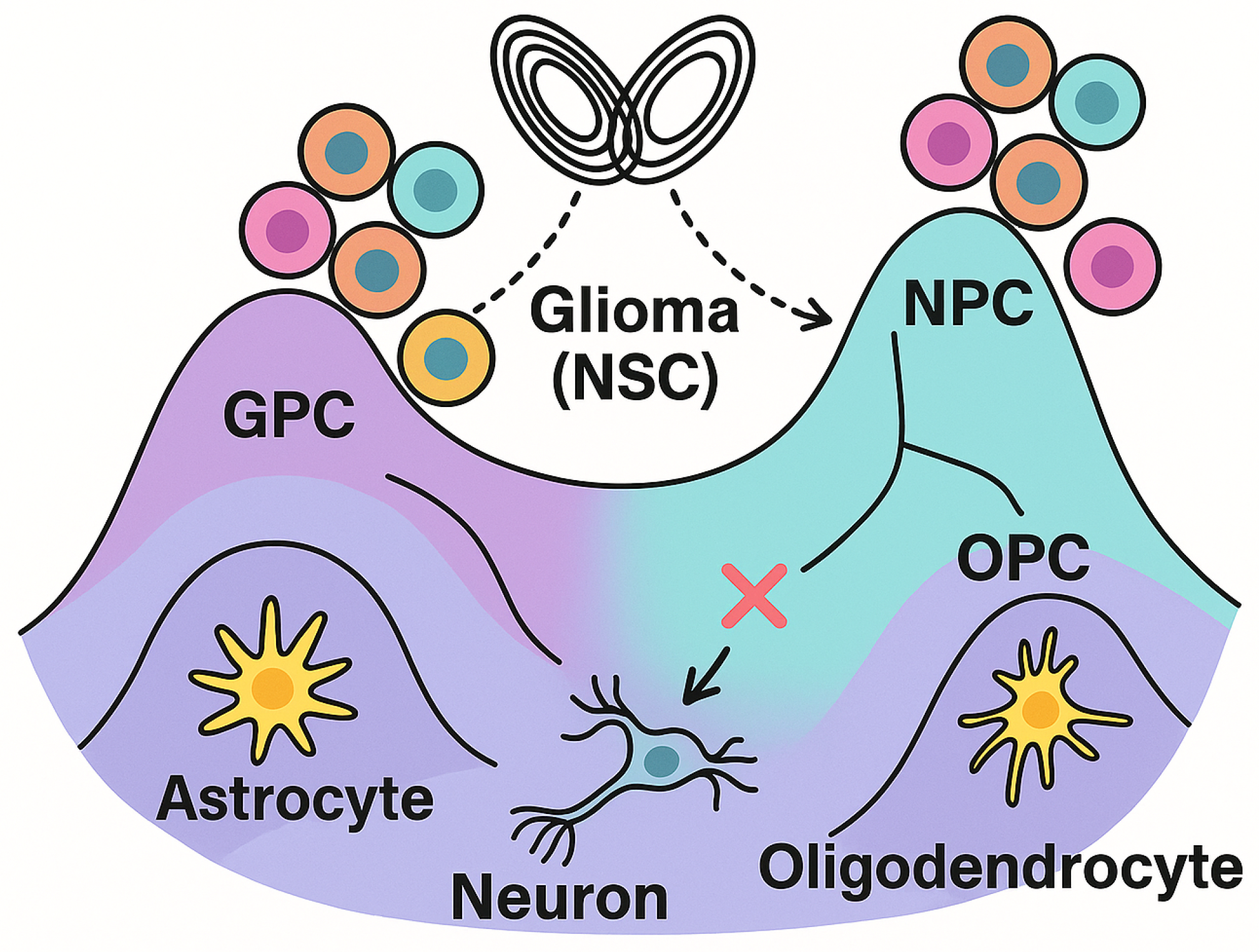Preprints 173662 g002