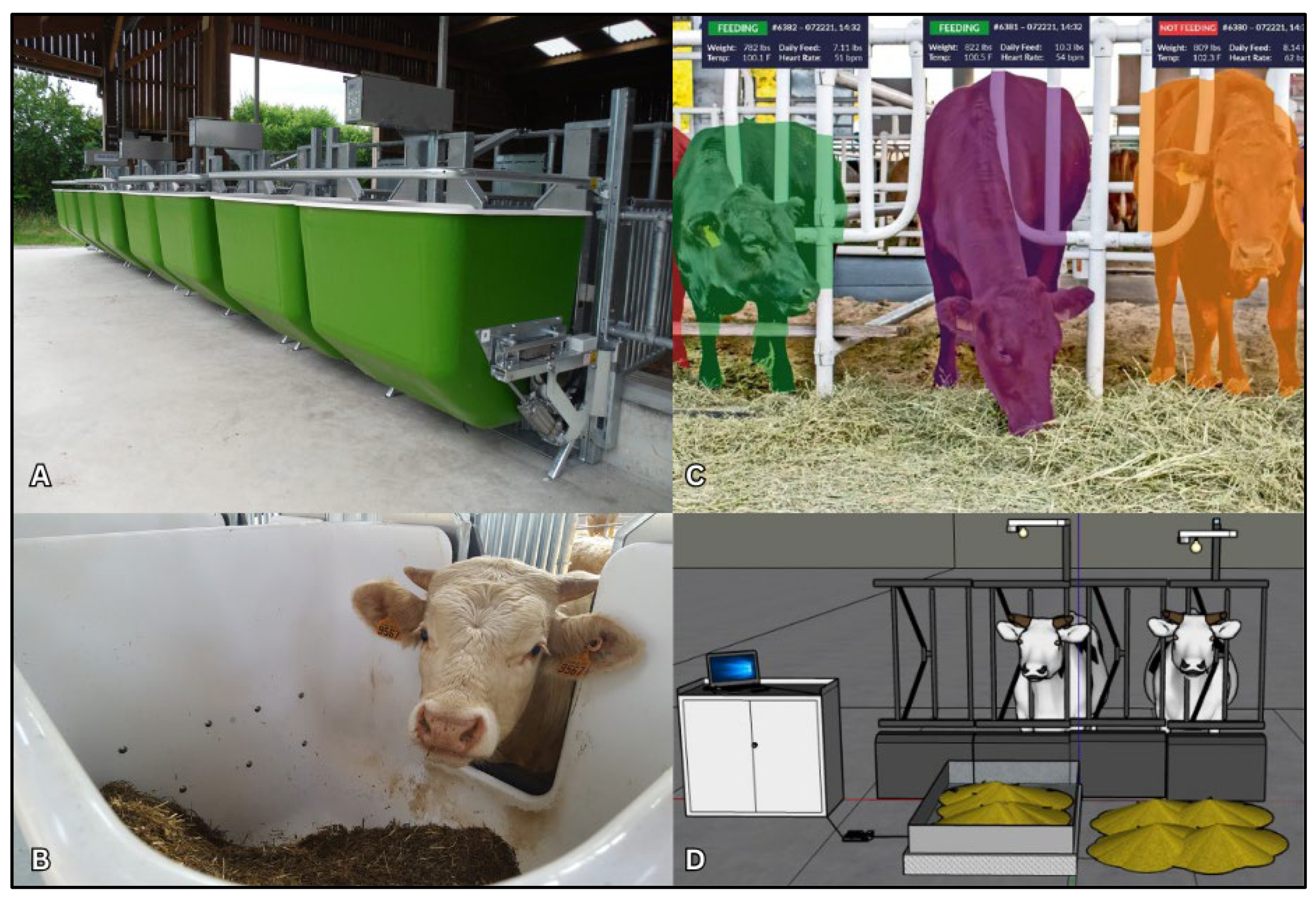 Preprints 140644 g001