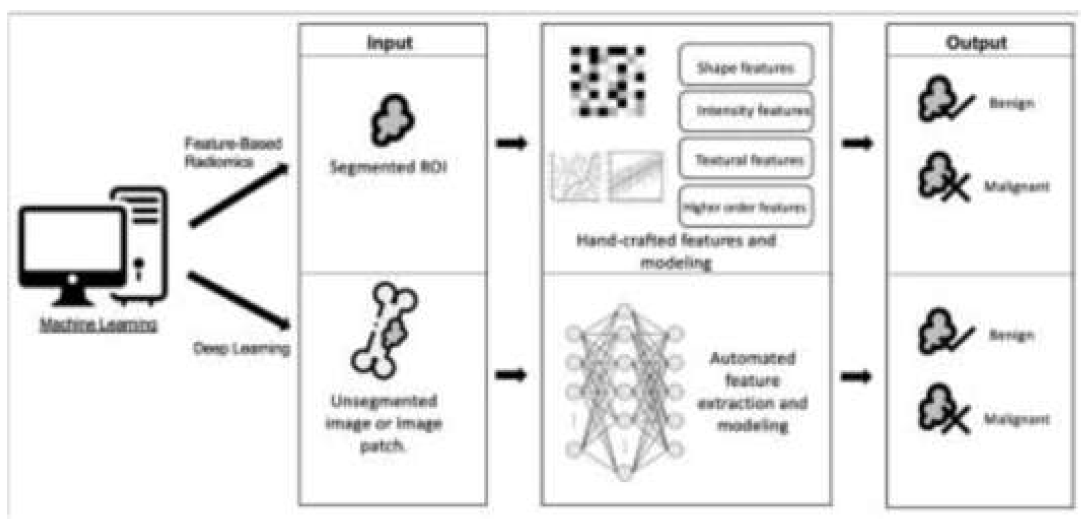 Preprints 154887 g001