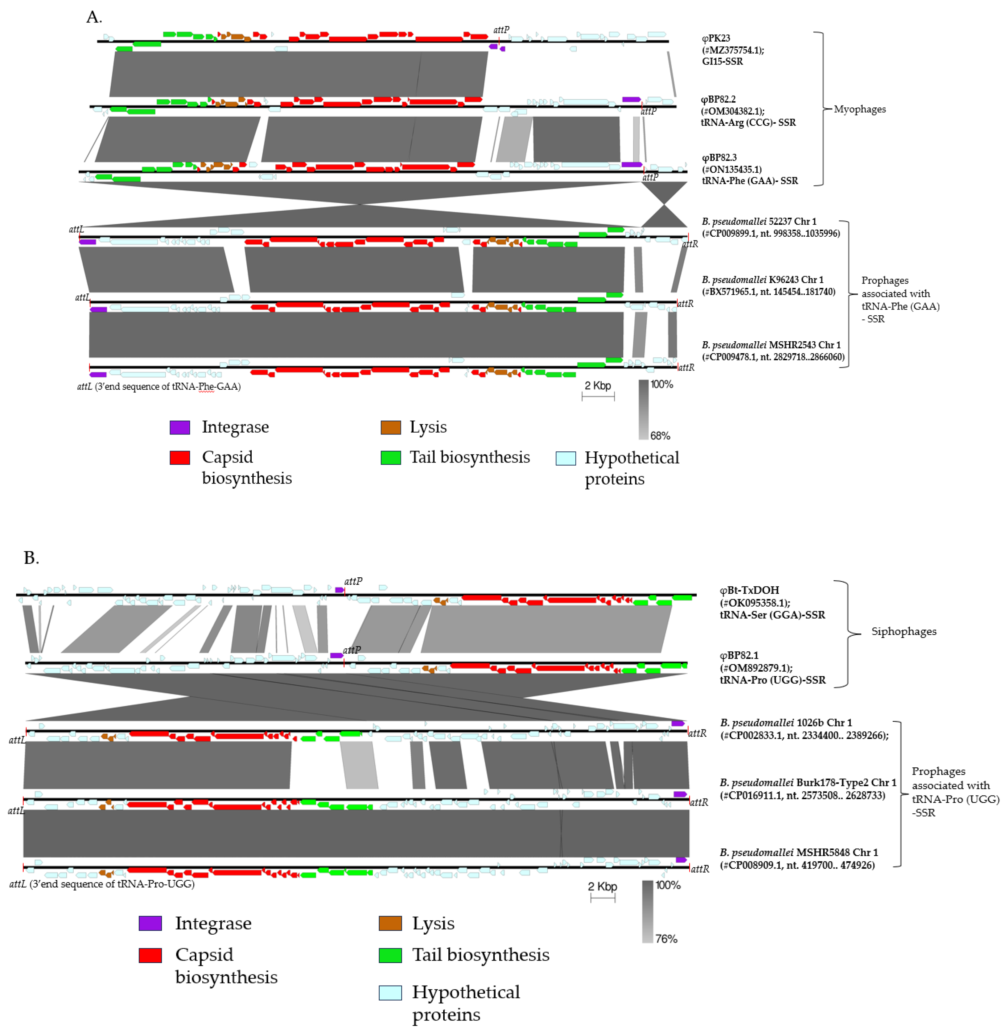 Preprints 199978 g001