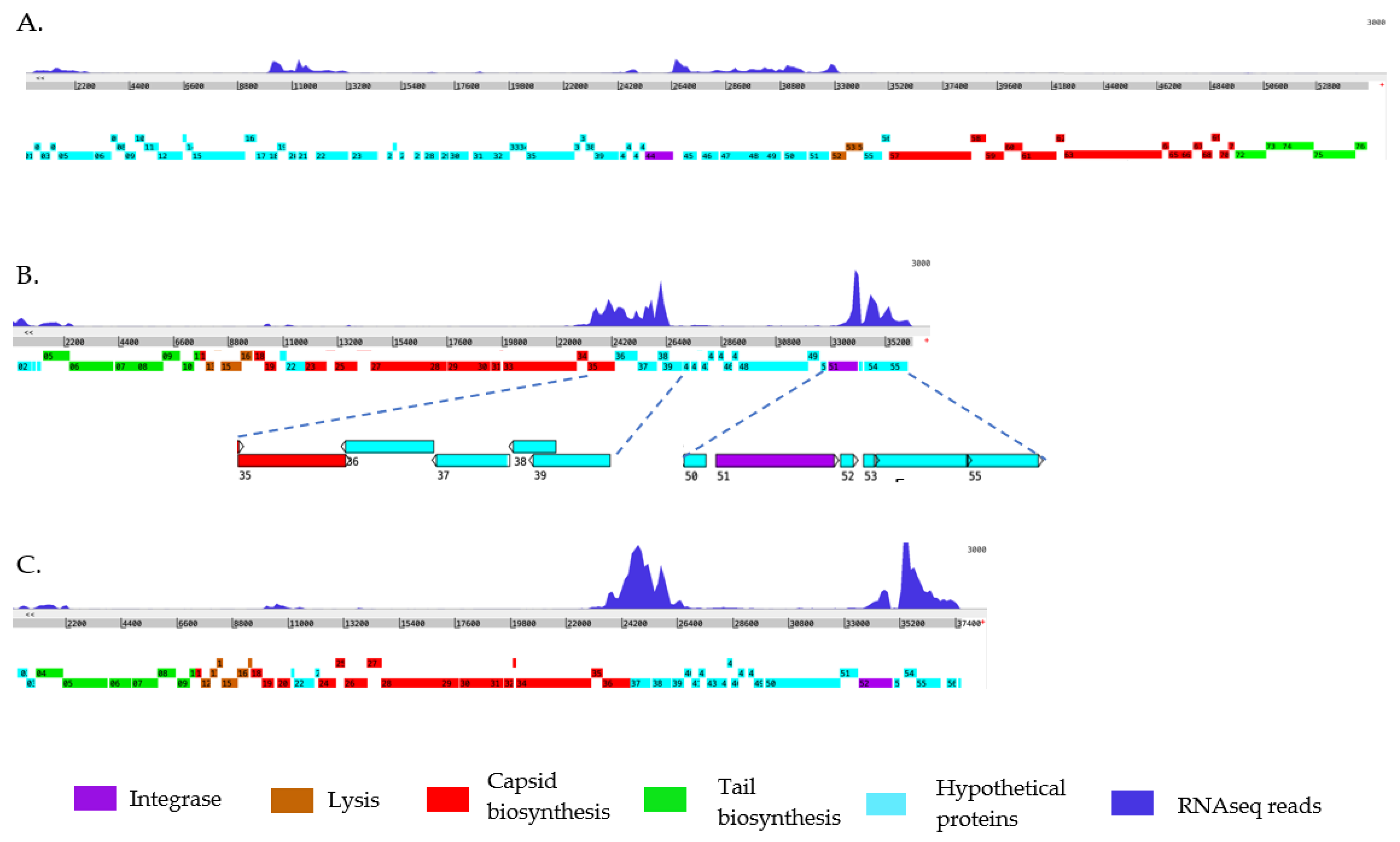 Preprints 199978 g003
