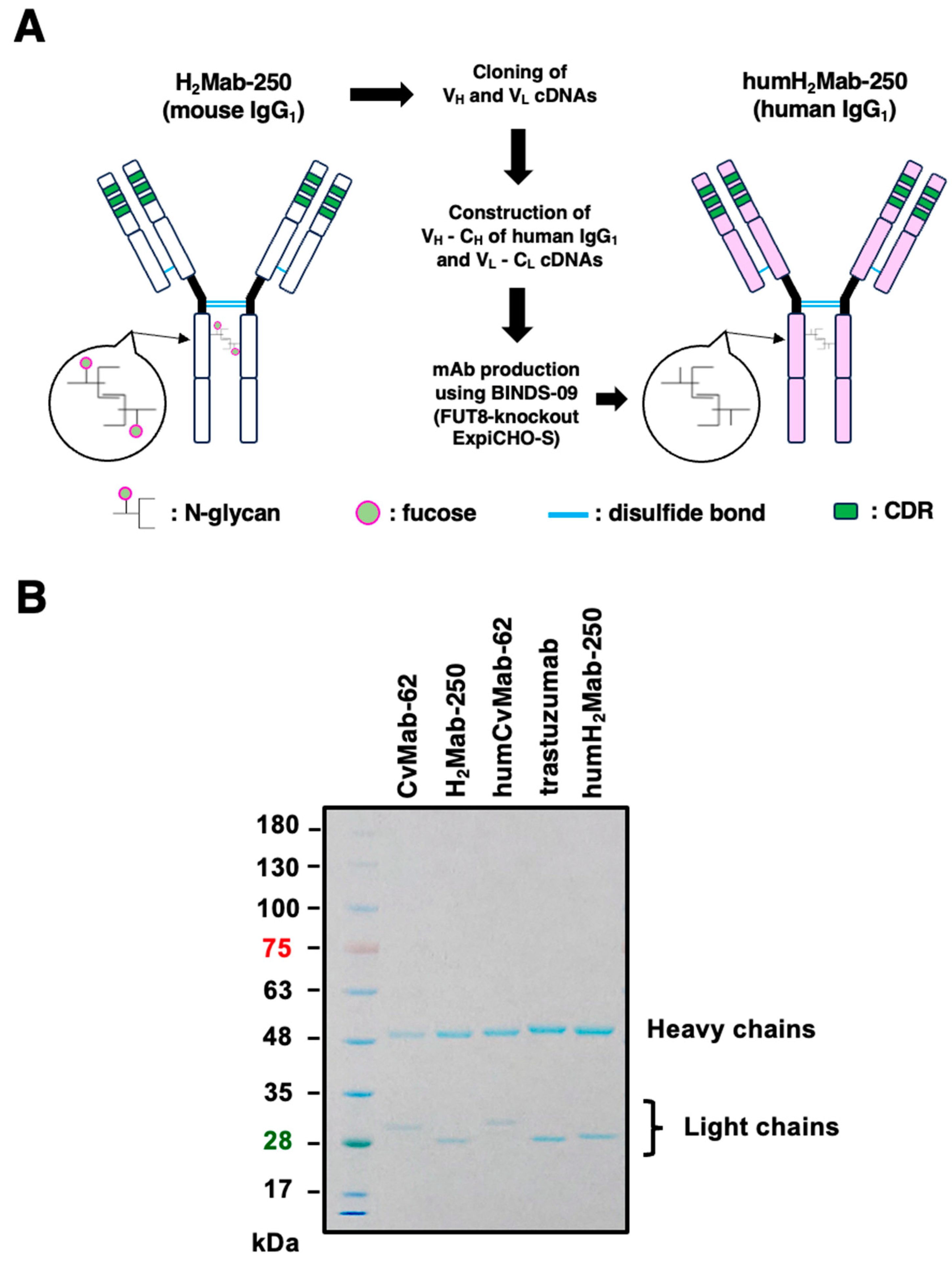 Preprints 139350 g001