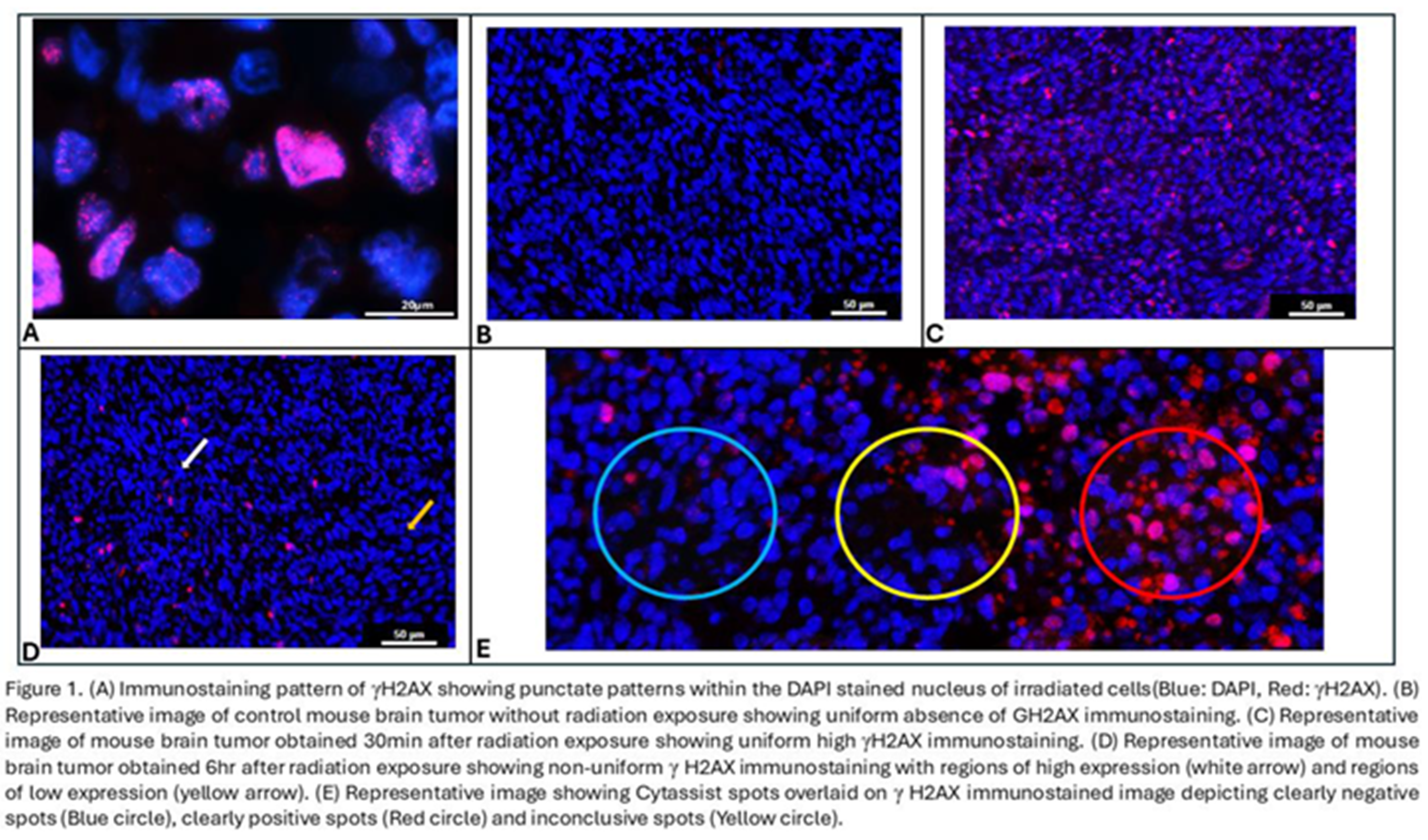 Preprints 163571 g001