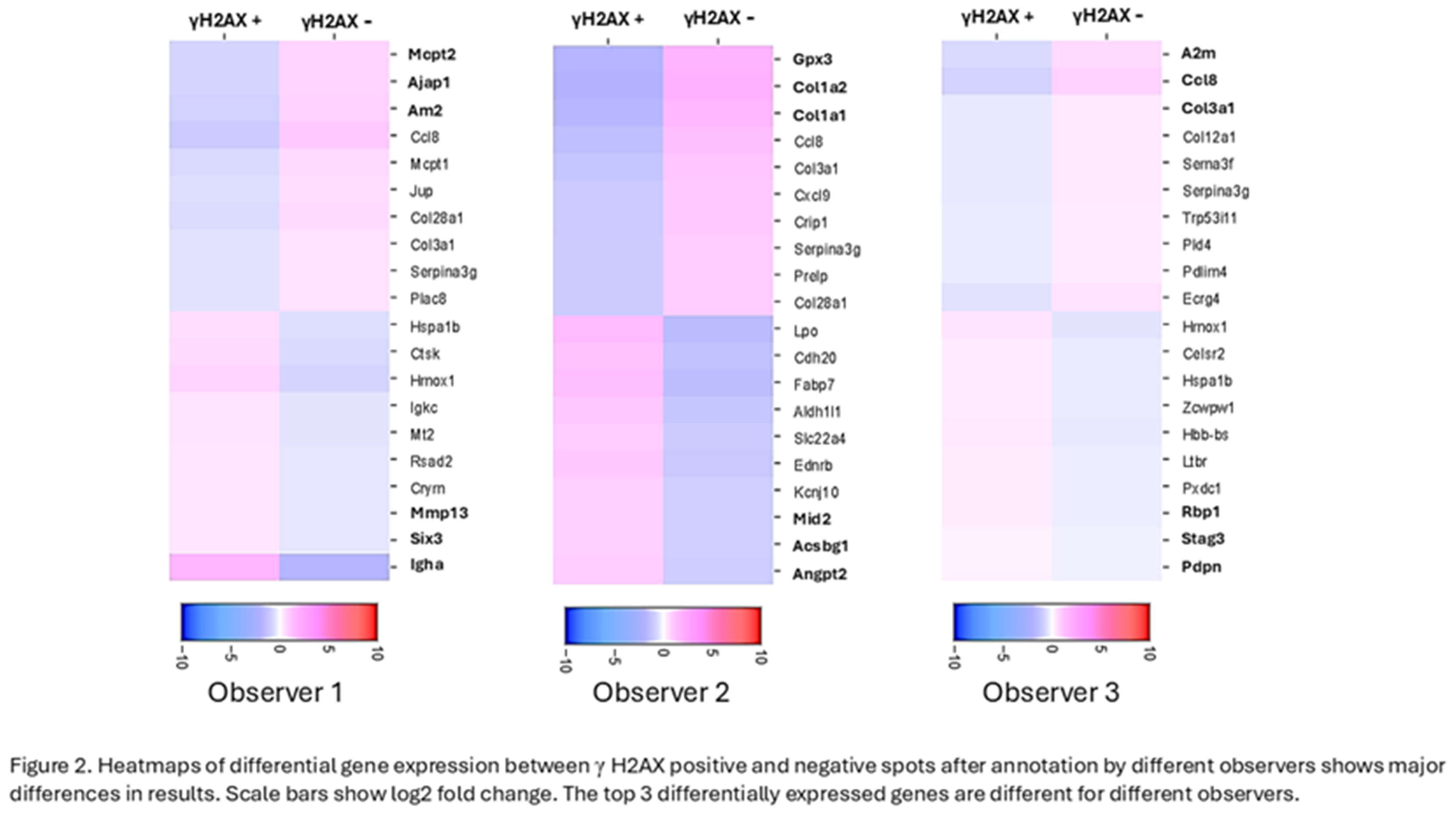 Preprints 163571 g002