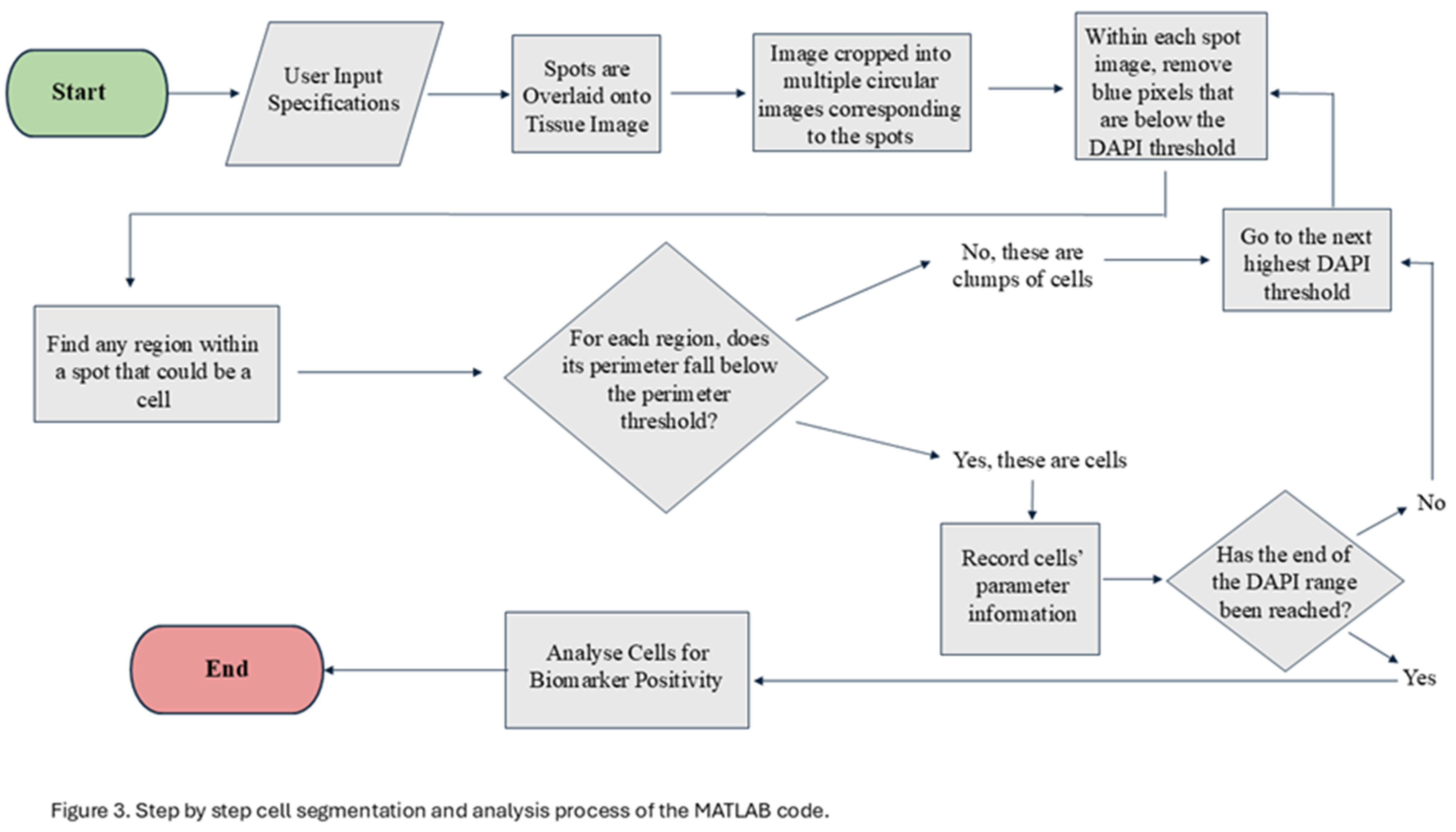 Preprints 163571 g003