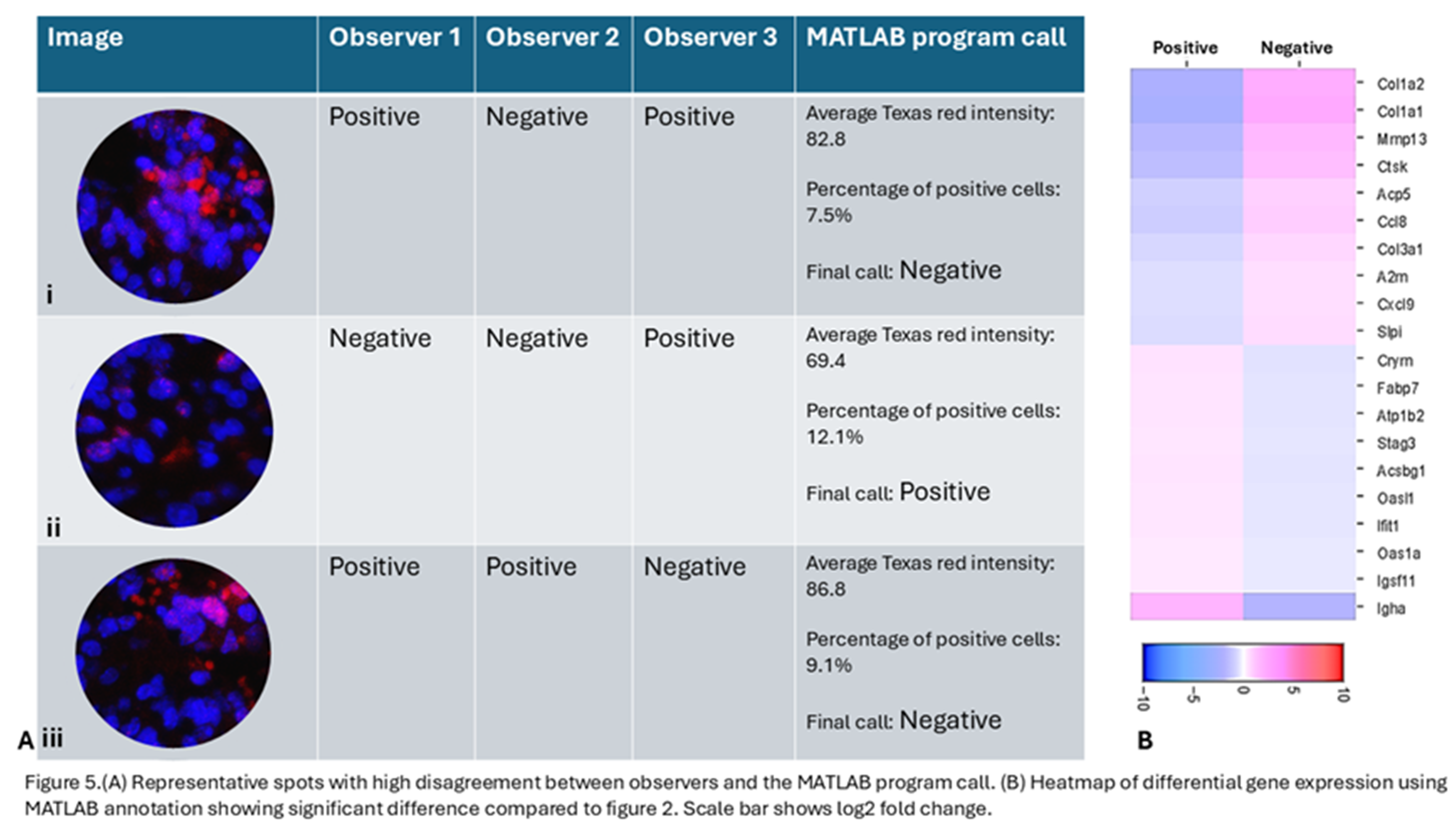 Preprints 163571 g005