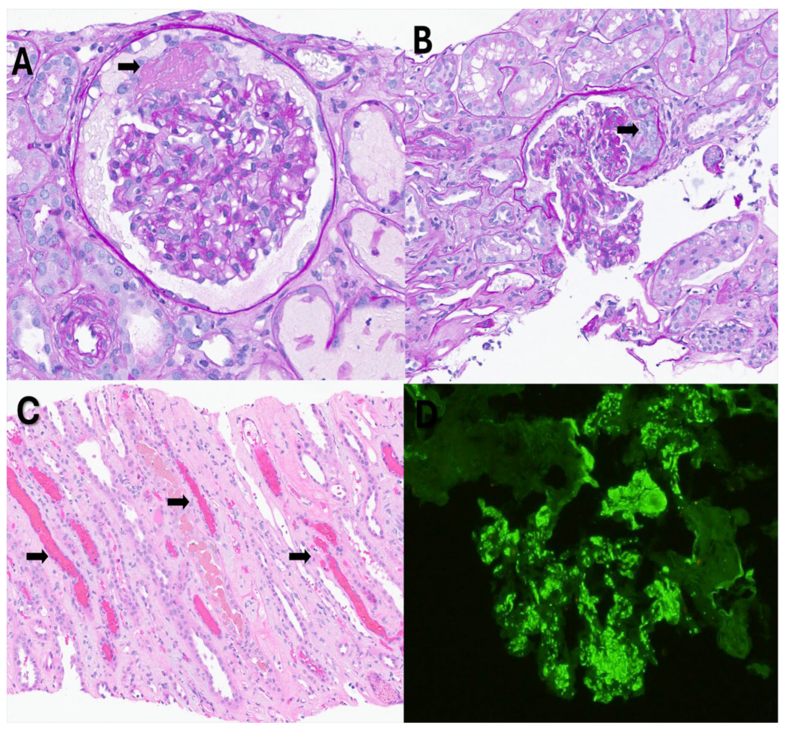Preprints 155447 g001