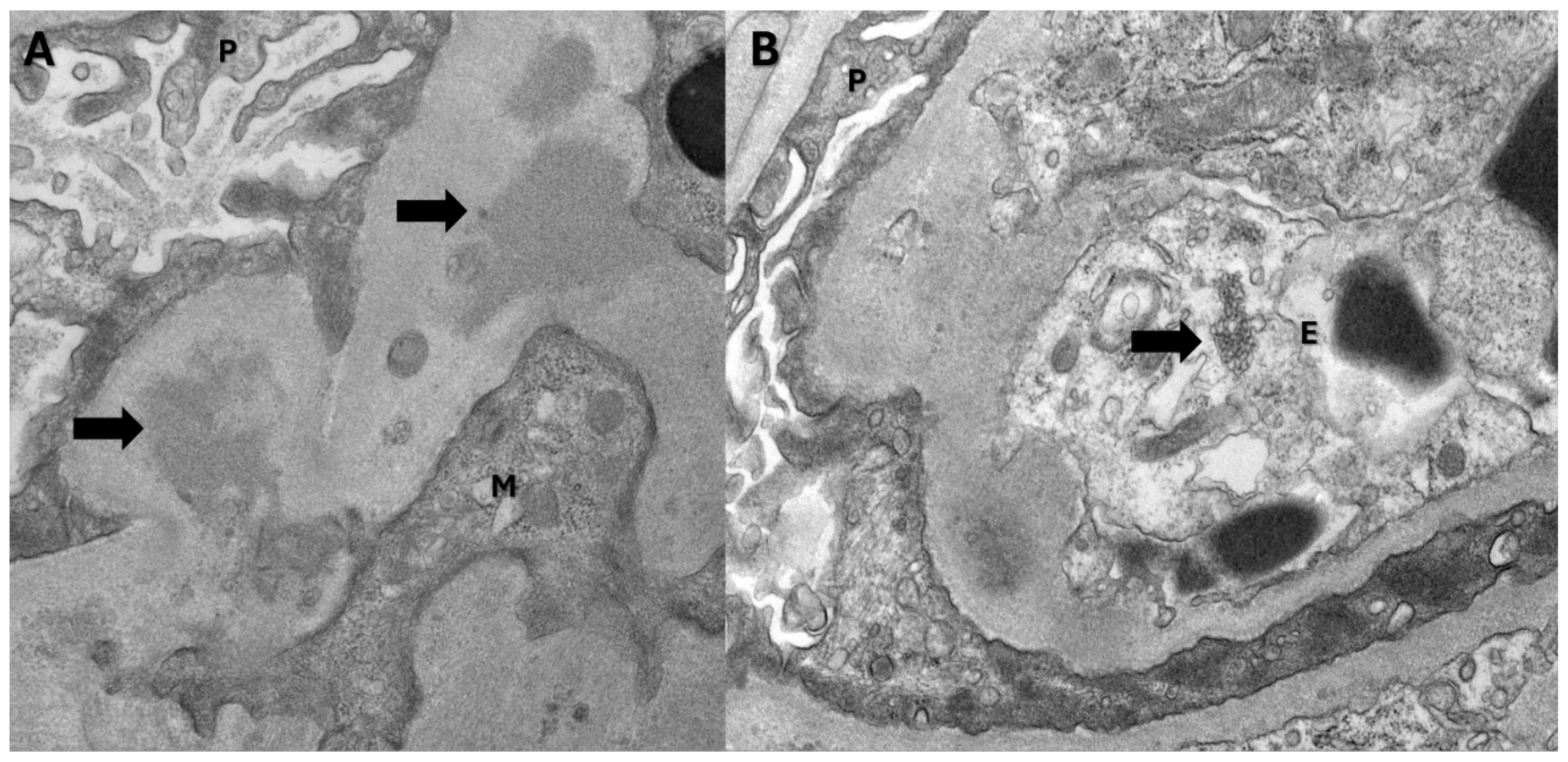 Preprints 155447 g002