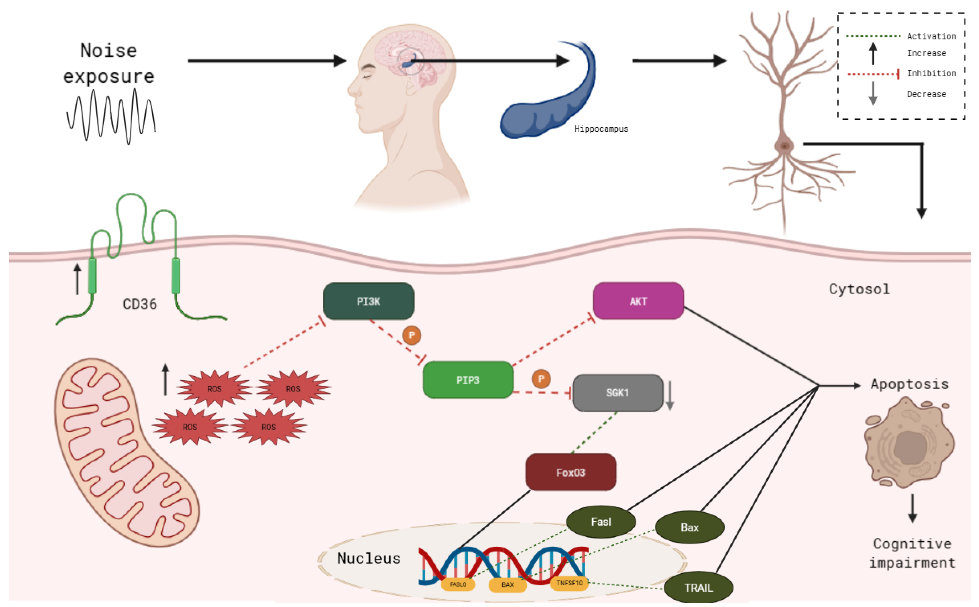 Structural and Functional Brain Alterations Induced by