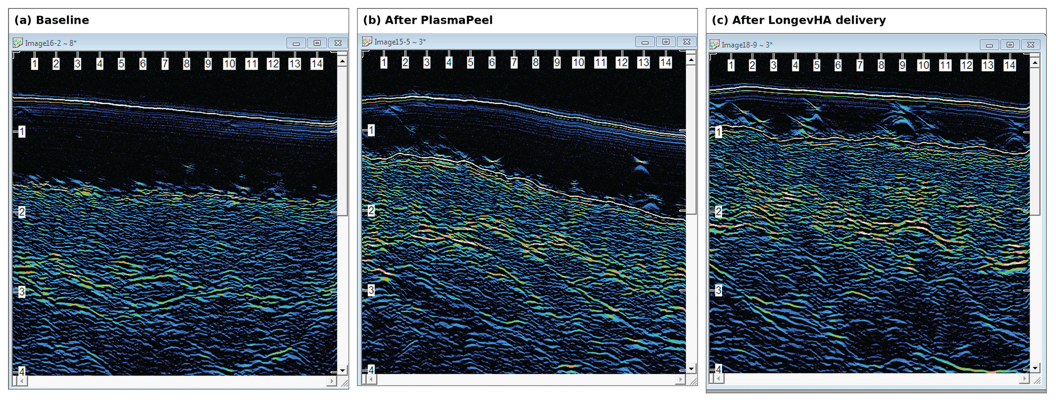 Preprints 230638 g002 Preprints 230638 g002
