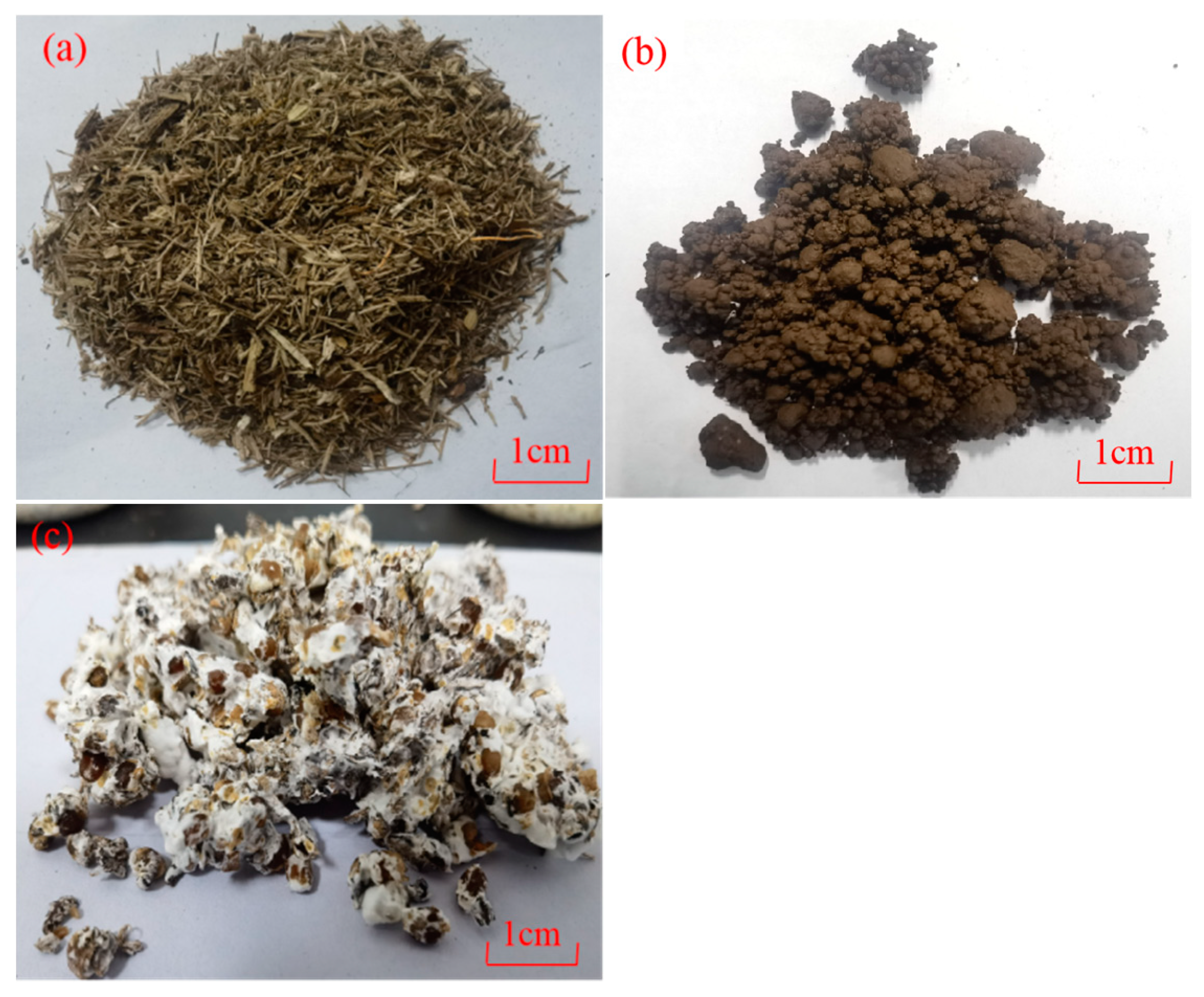 Preprints 145048 g001