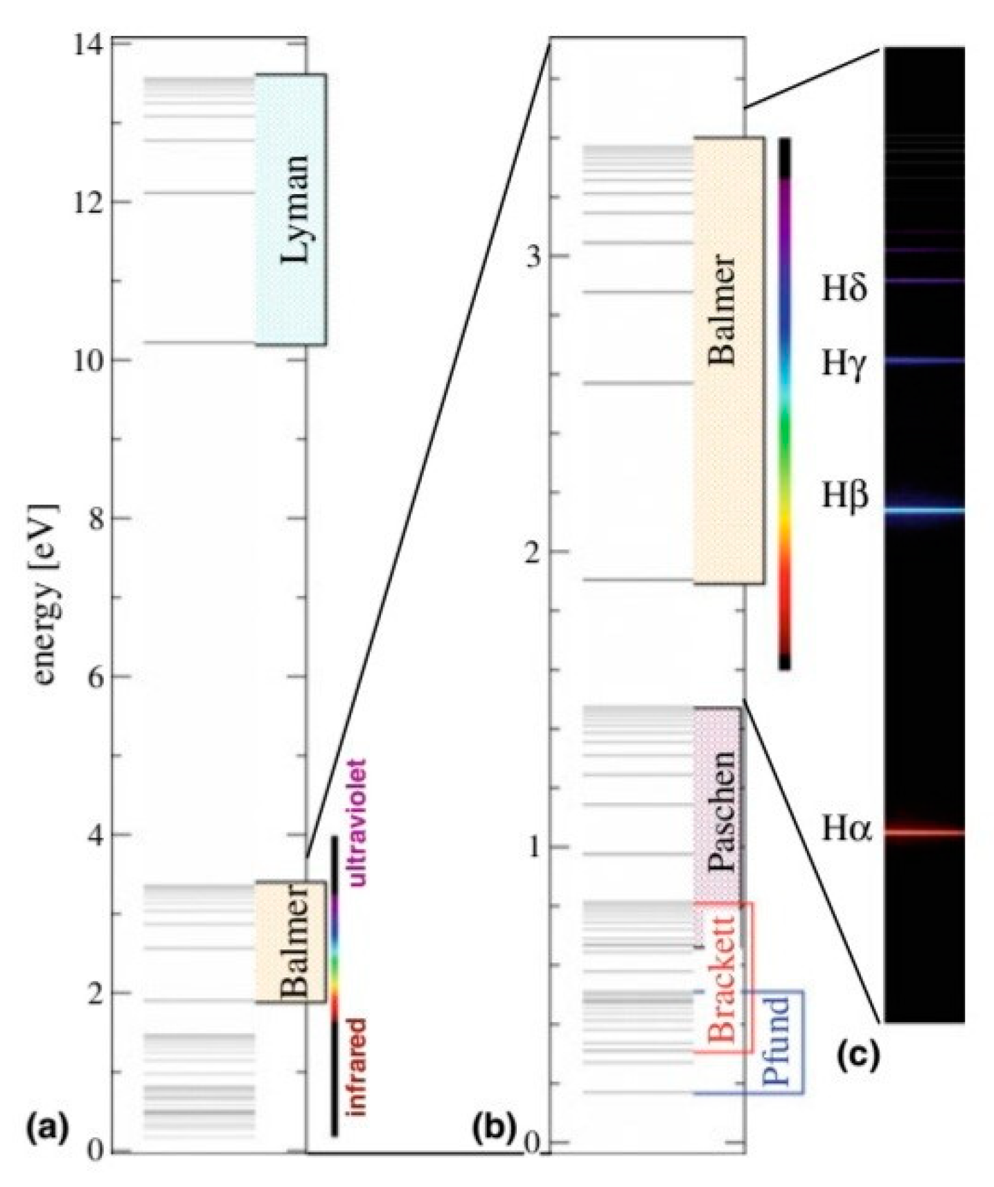 Preprints 151150 g002