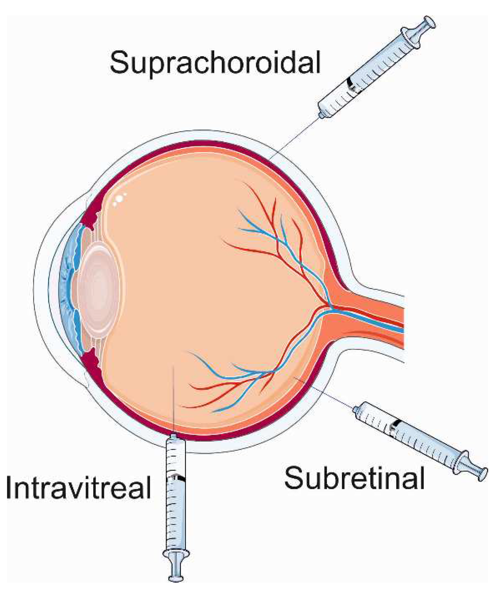 Preprints 96920 g003