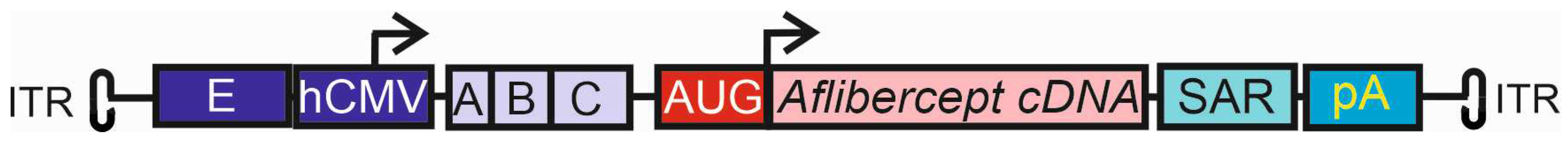 Preprints 96920 g004