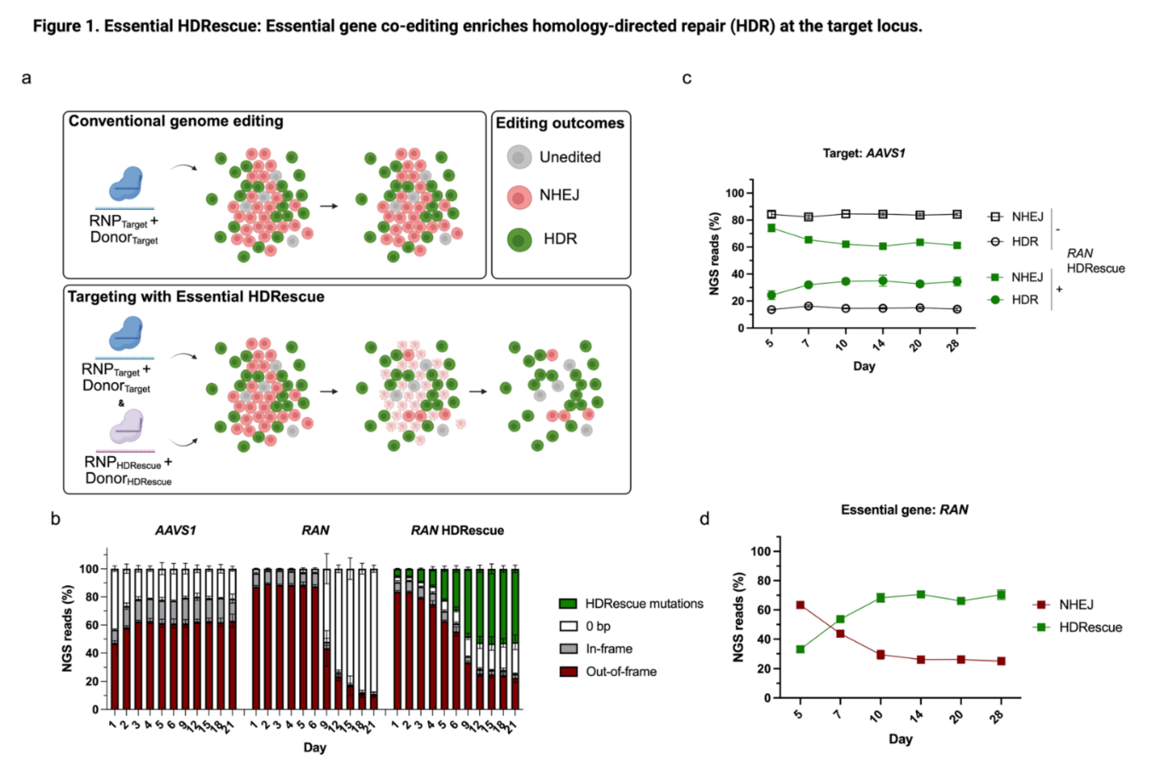 Preprints 203061 g001