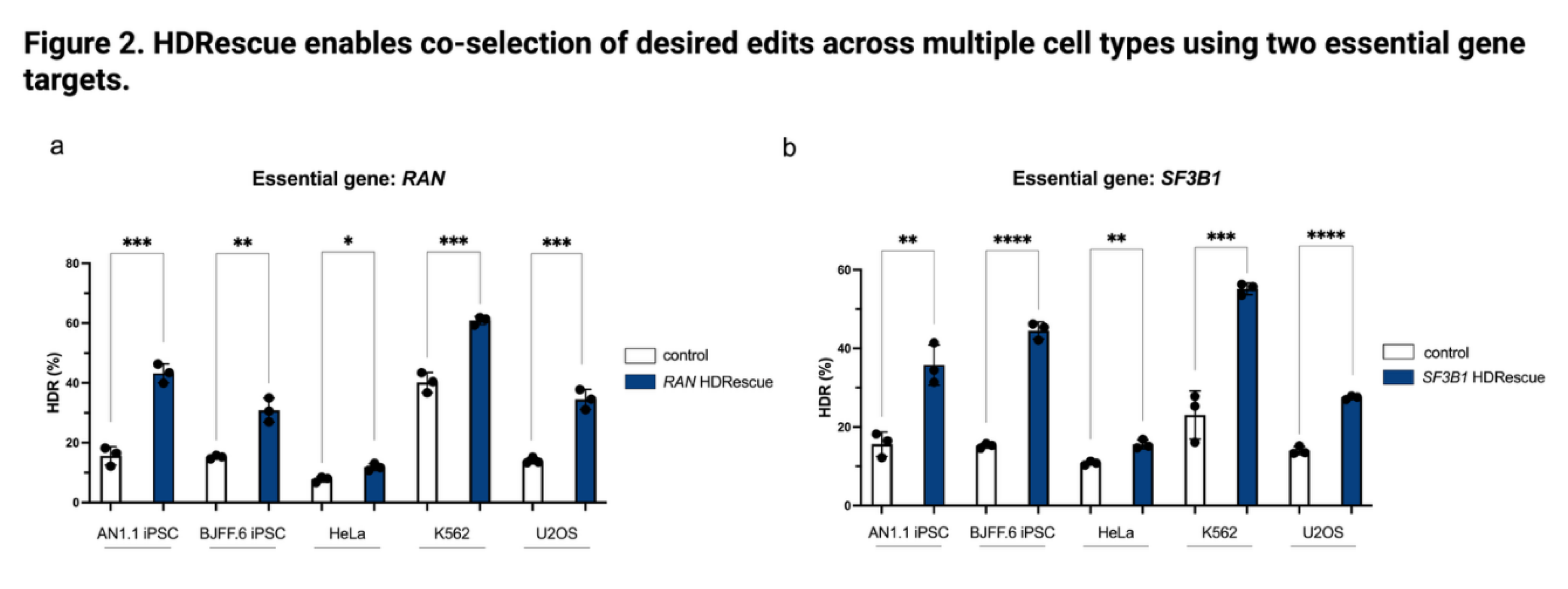 Preprints 203061 g002
