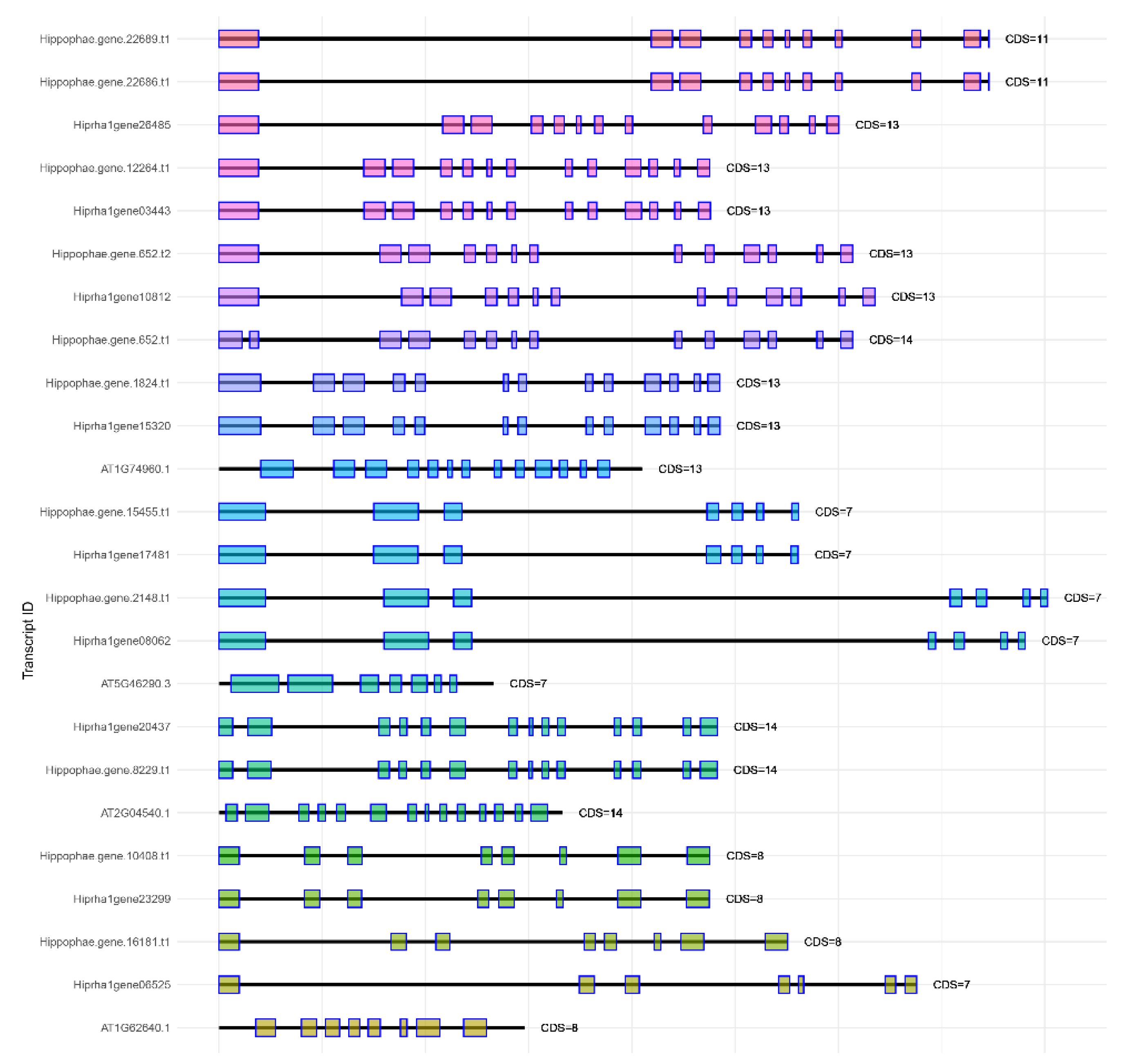 Preprints 189675 g001