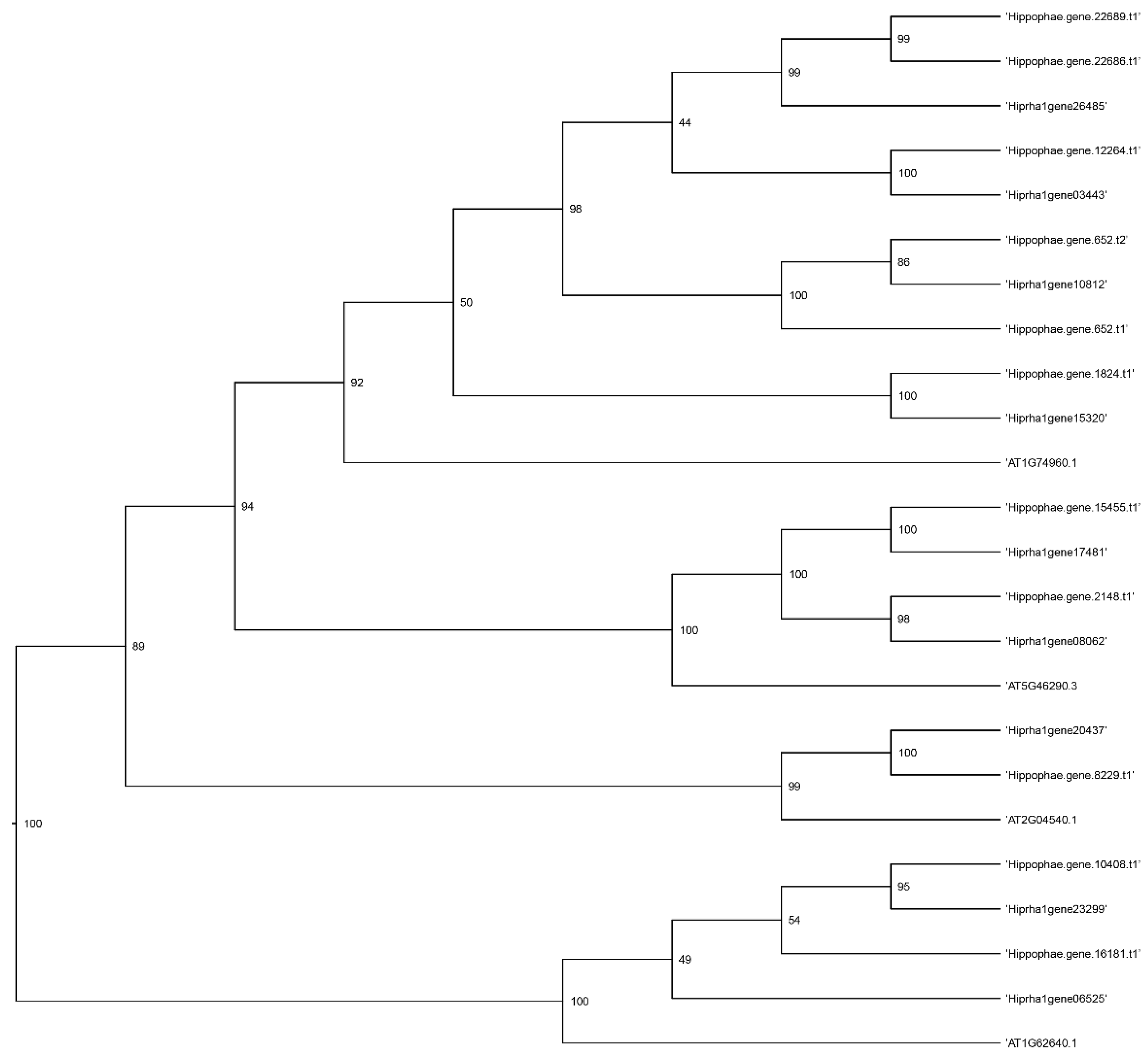 Preprints 189675 g005