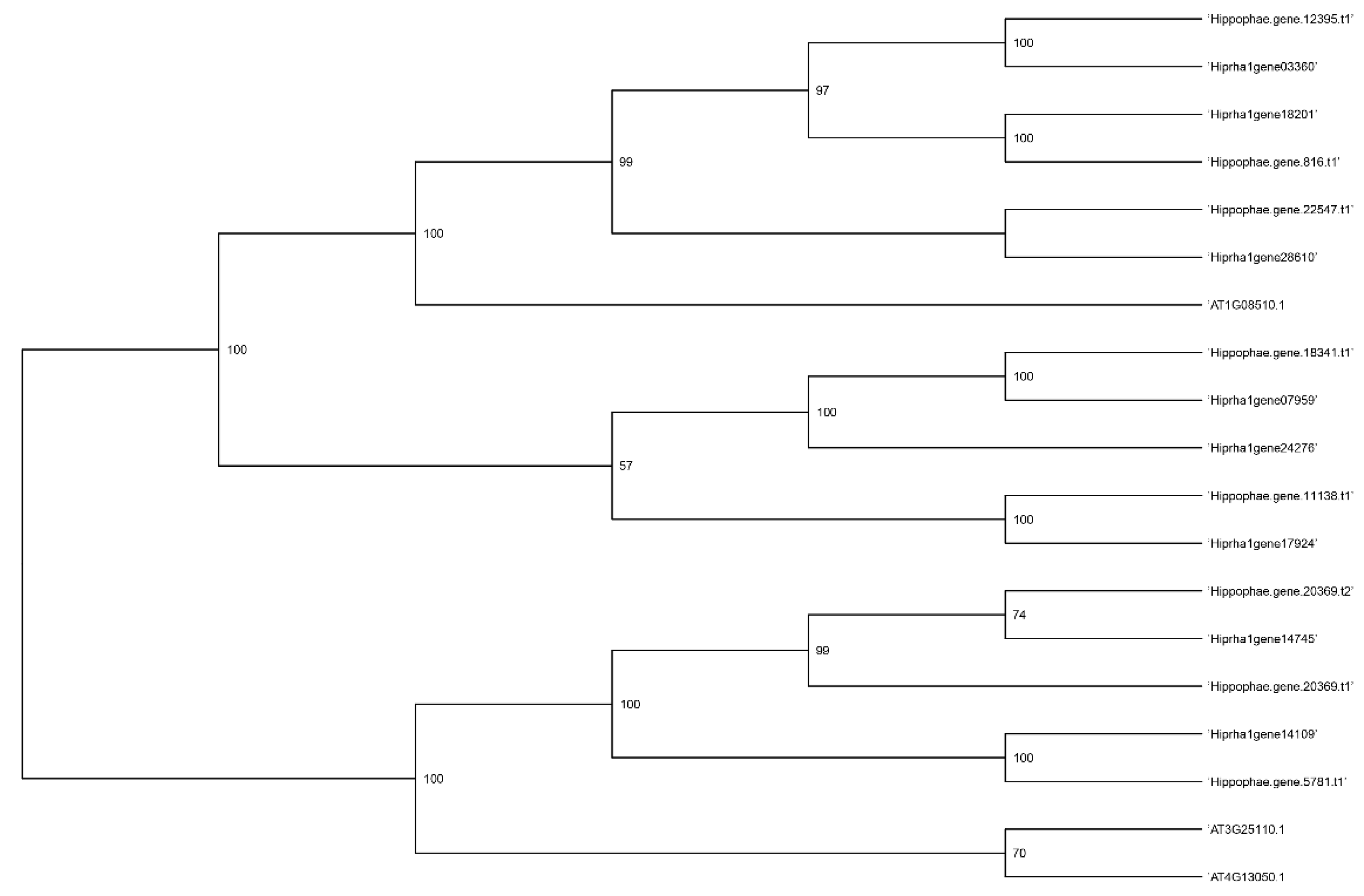 Preprints 189675 g006