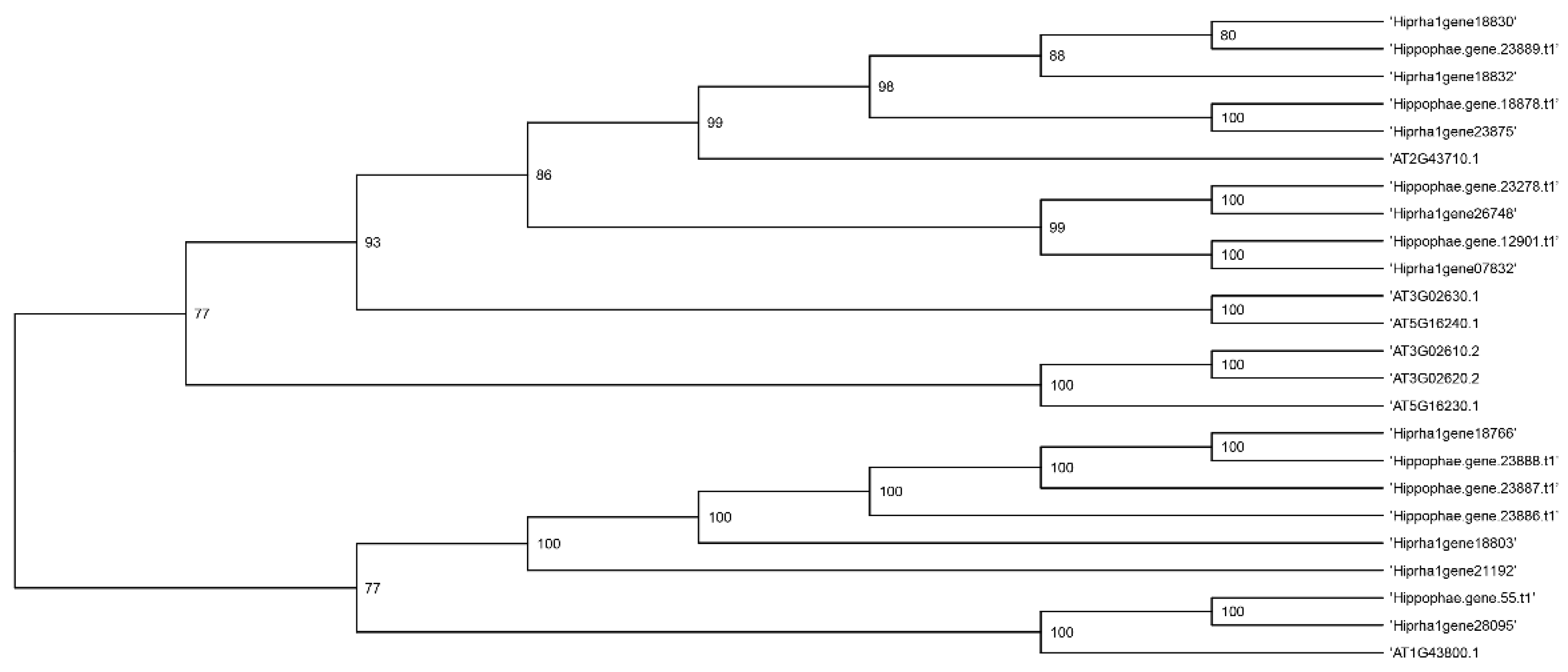 Preprints 189675 g007