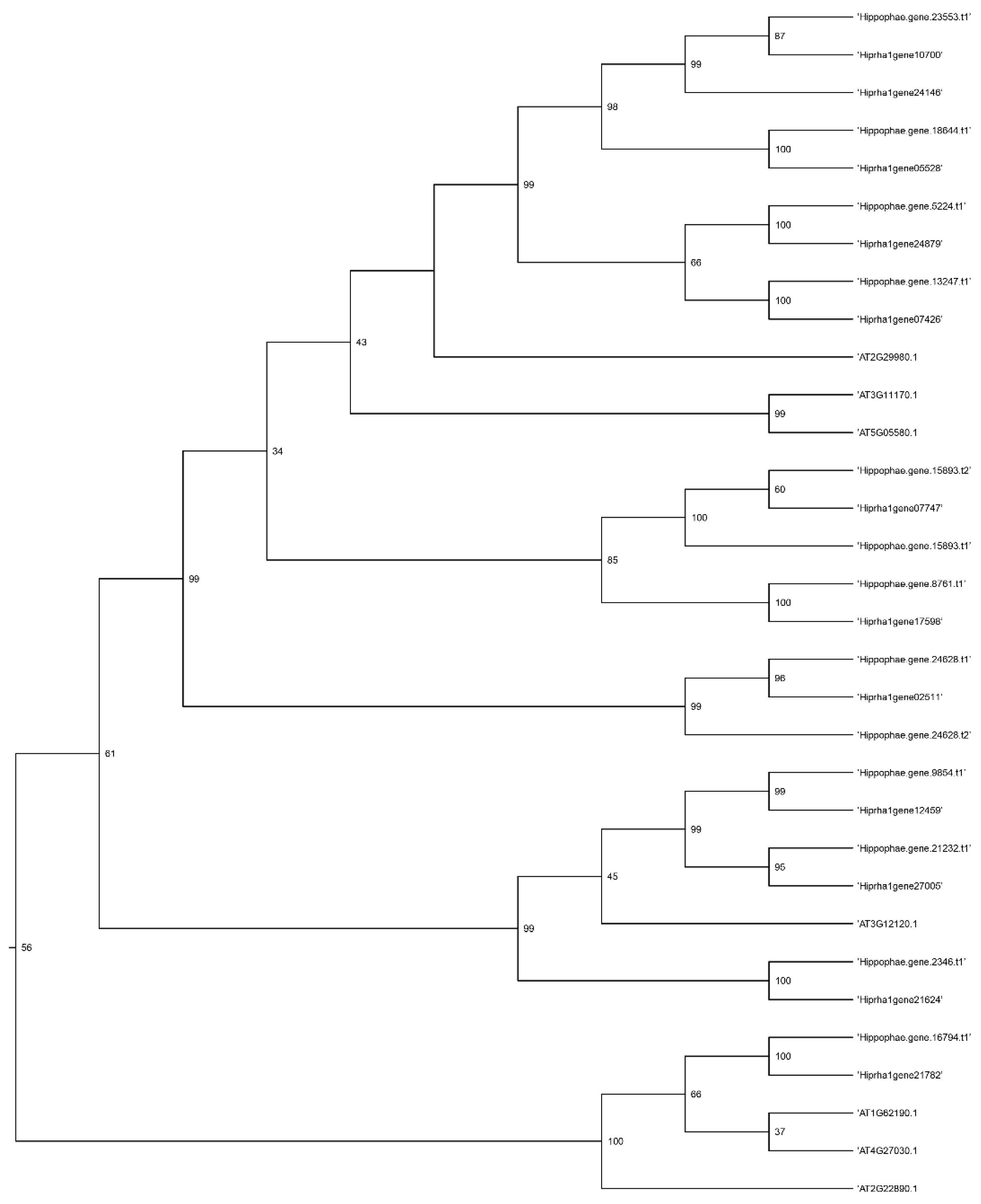 Preprints 189675 g008
