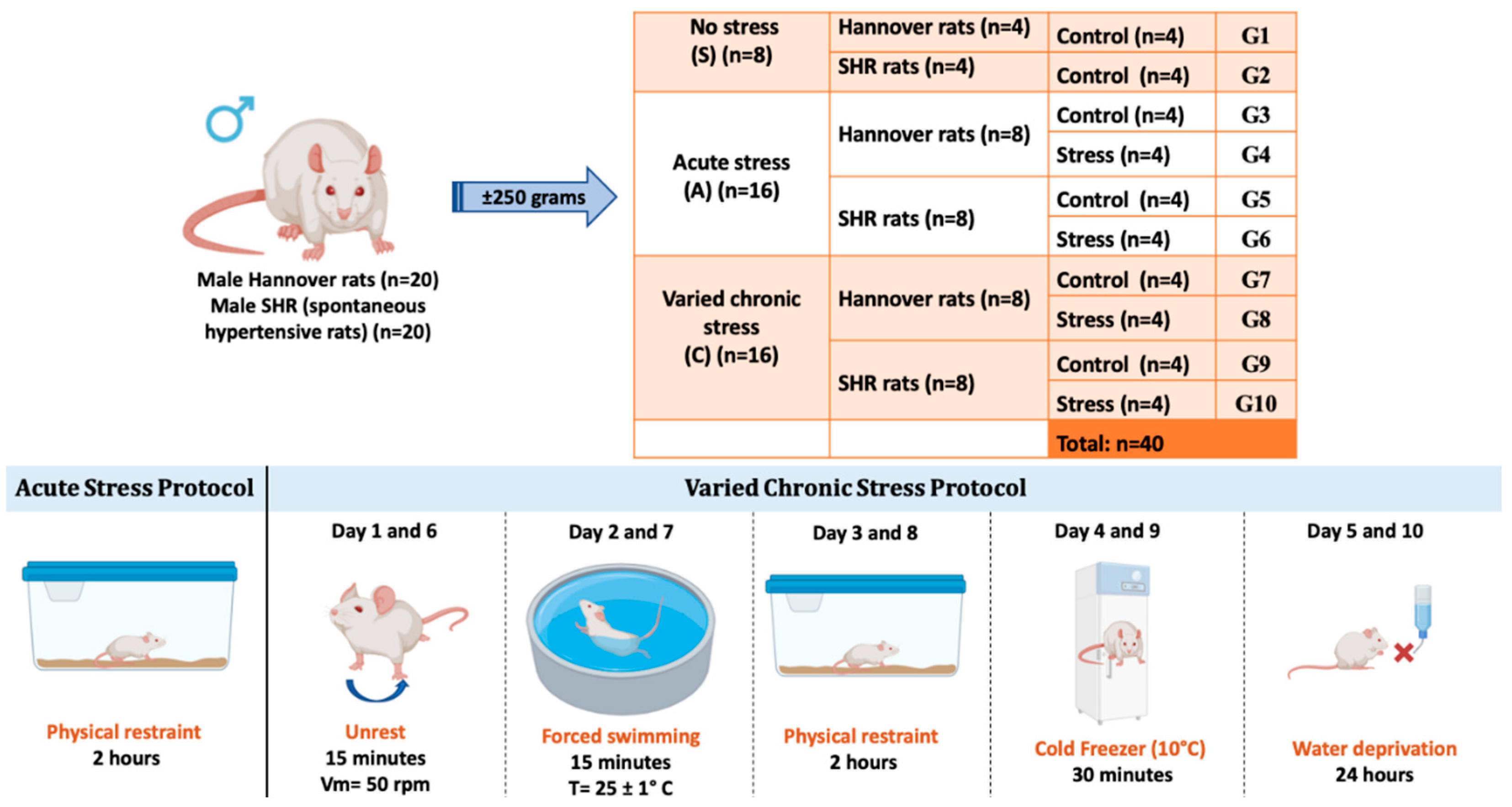 Preprints 160500 g001