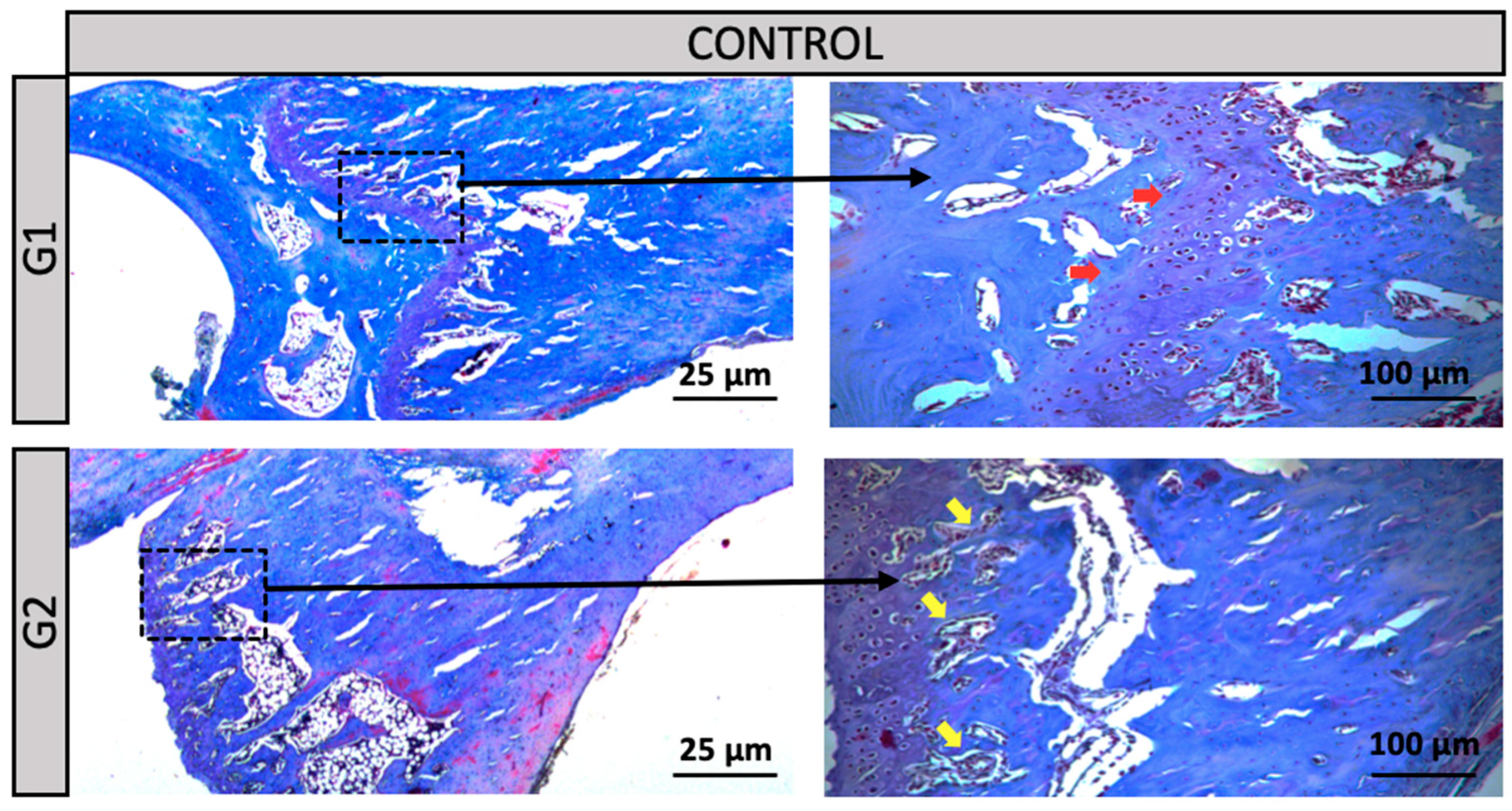 Preprints 160500 g003