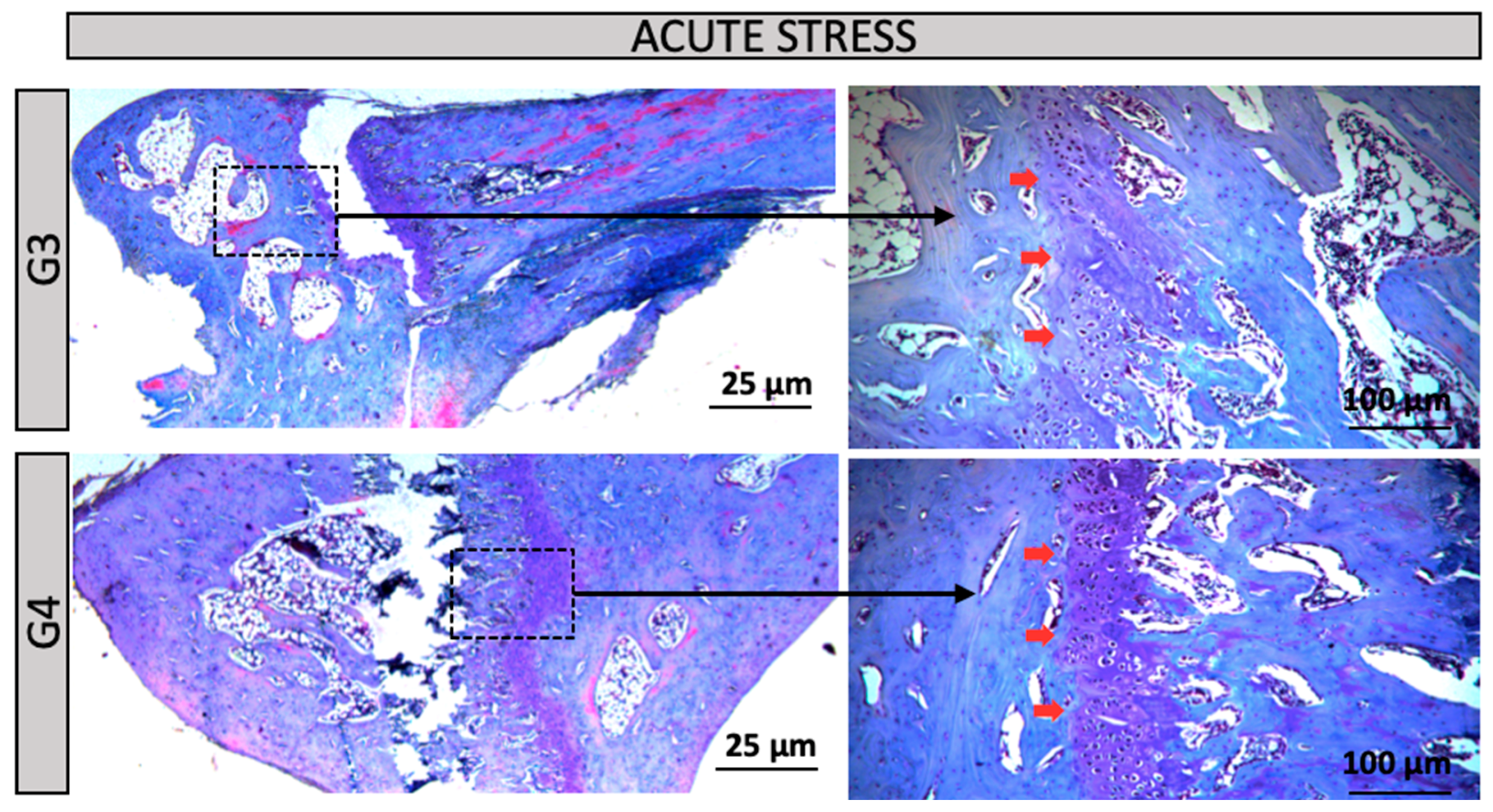 Preprints 160500 g004a