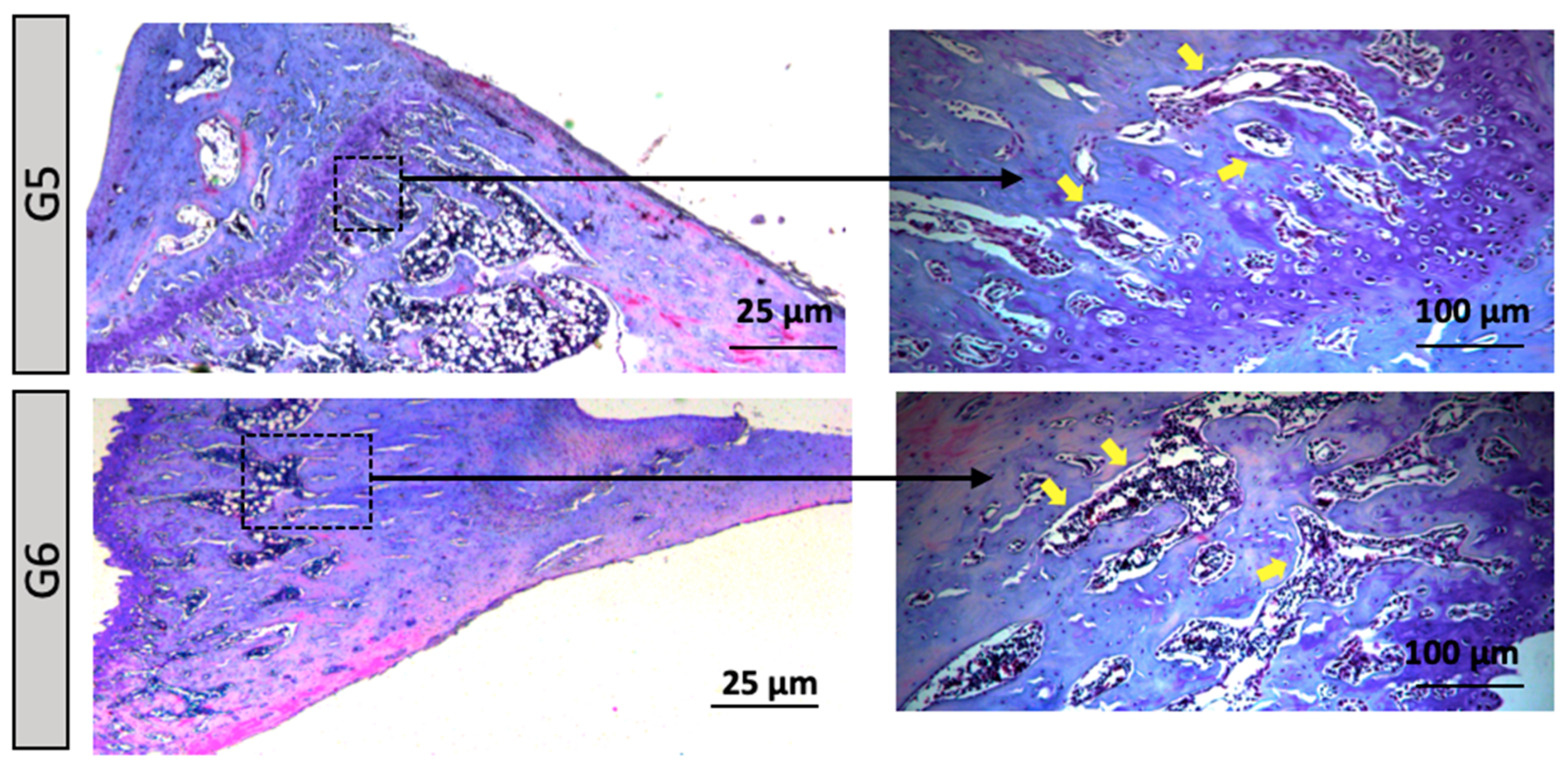 Preprints 160500 g004b