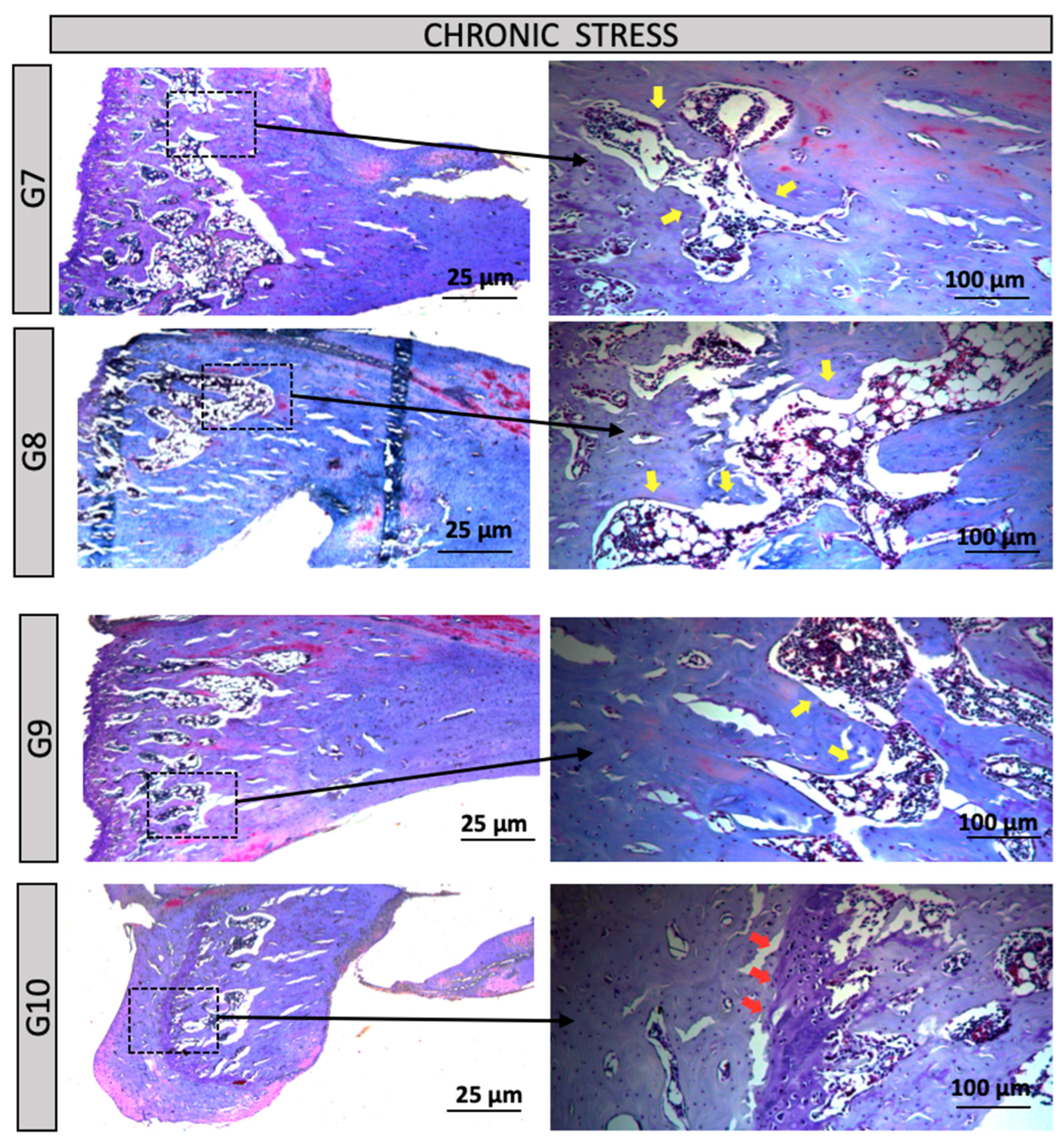 Preprints 160500 g005