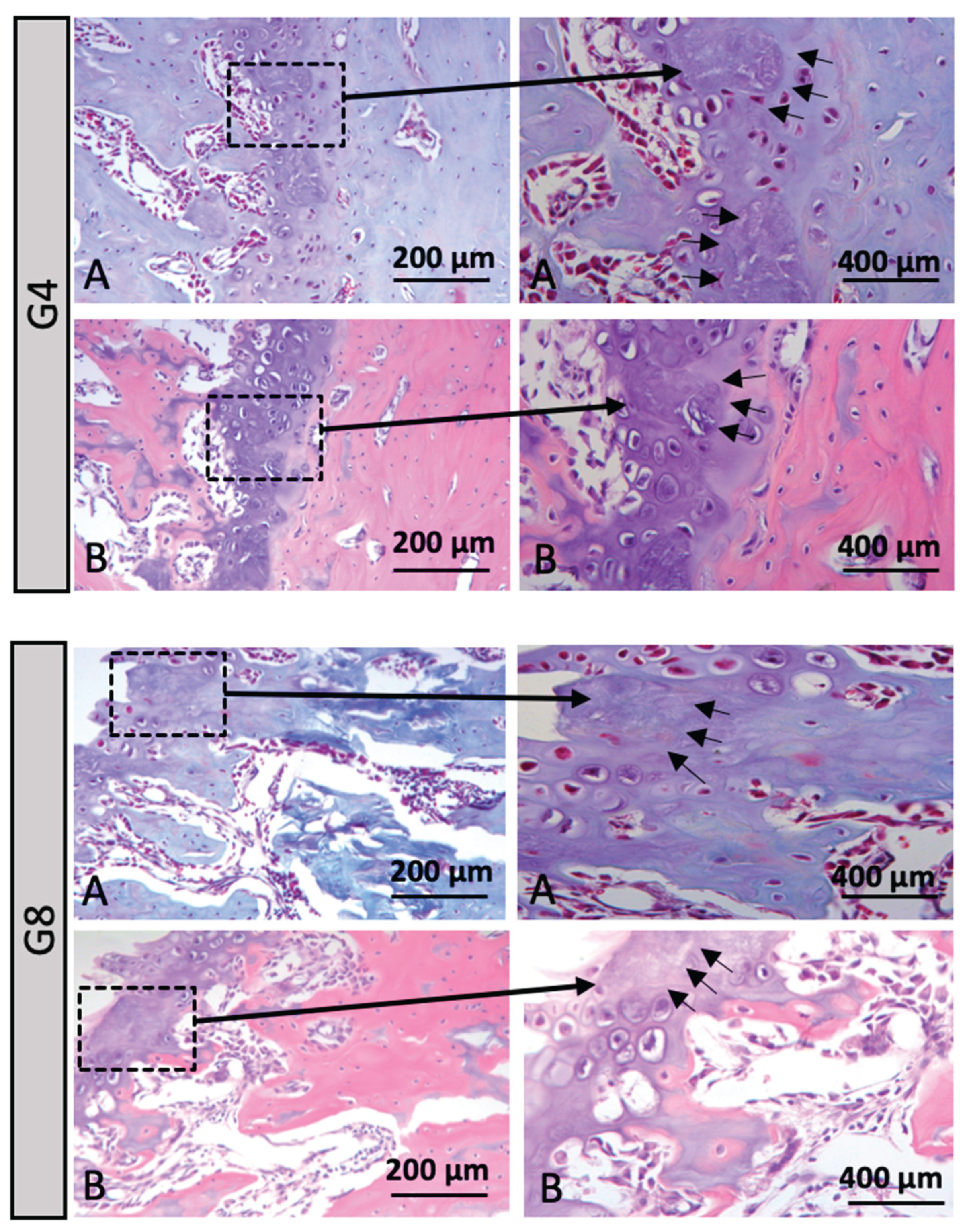Preprints 160500 g006