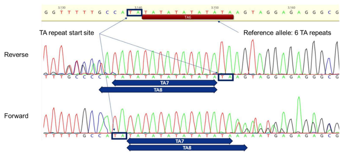 Preprints 219825 g001 Preprints 219825 g001
