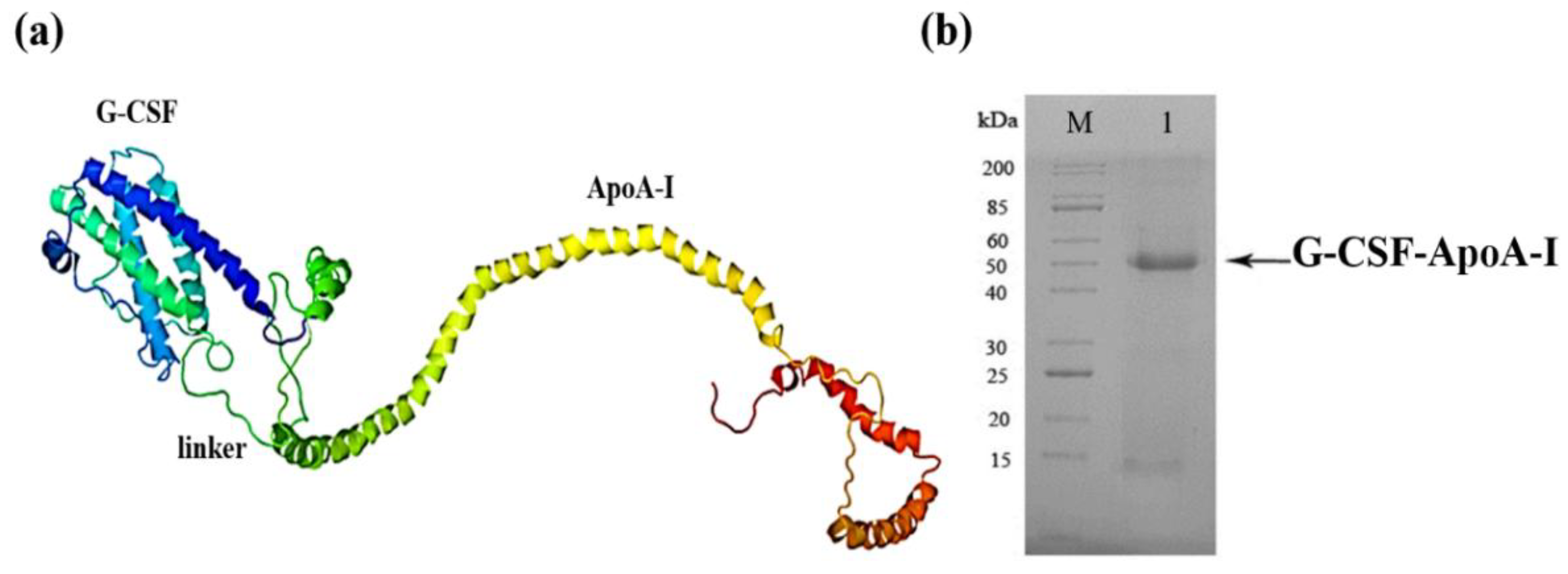 Preprints 187564 g001
