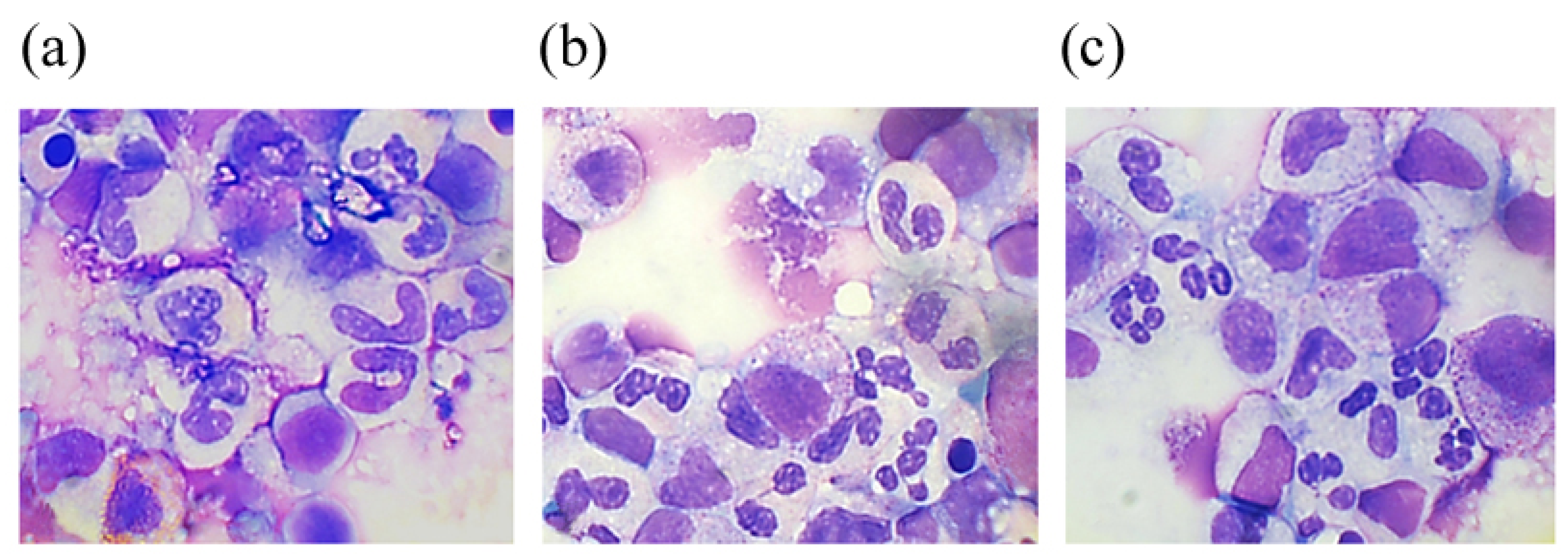 Preprints 187564 g003