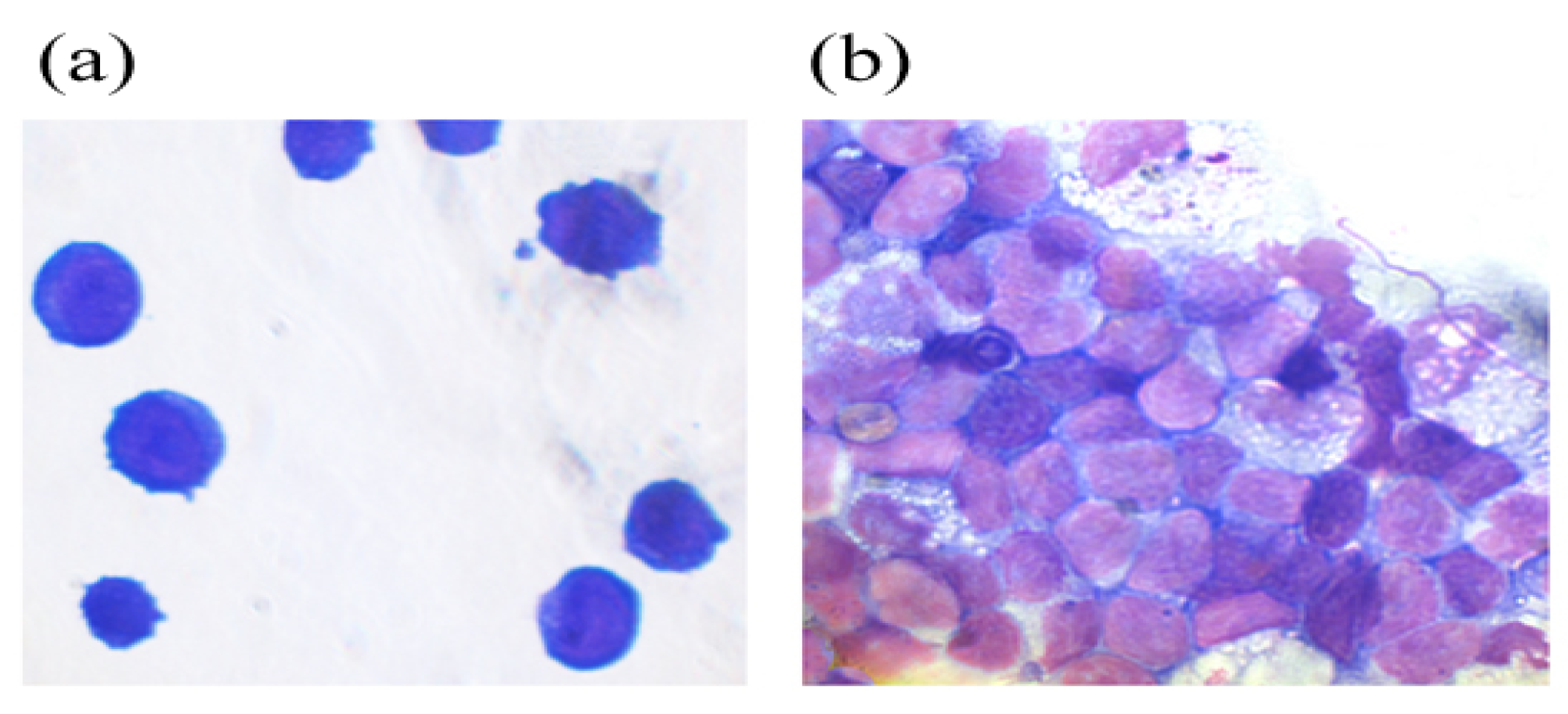 Preprints 187564 g006