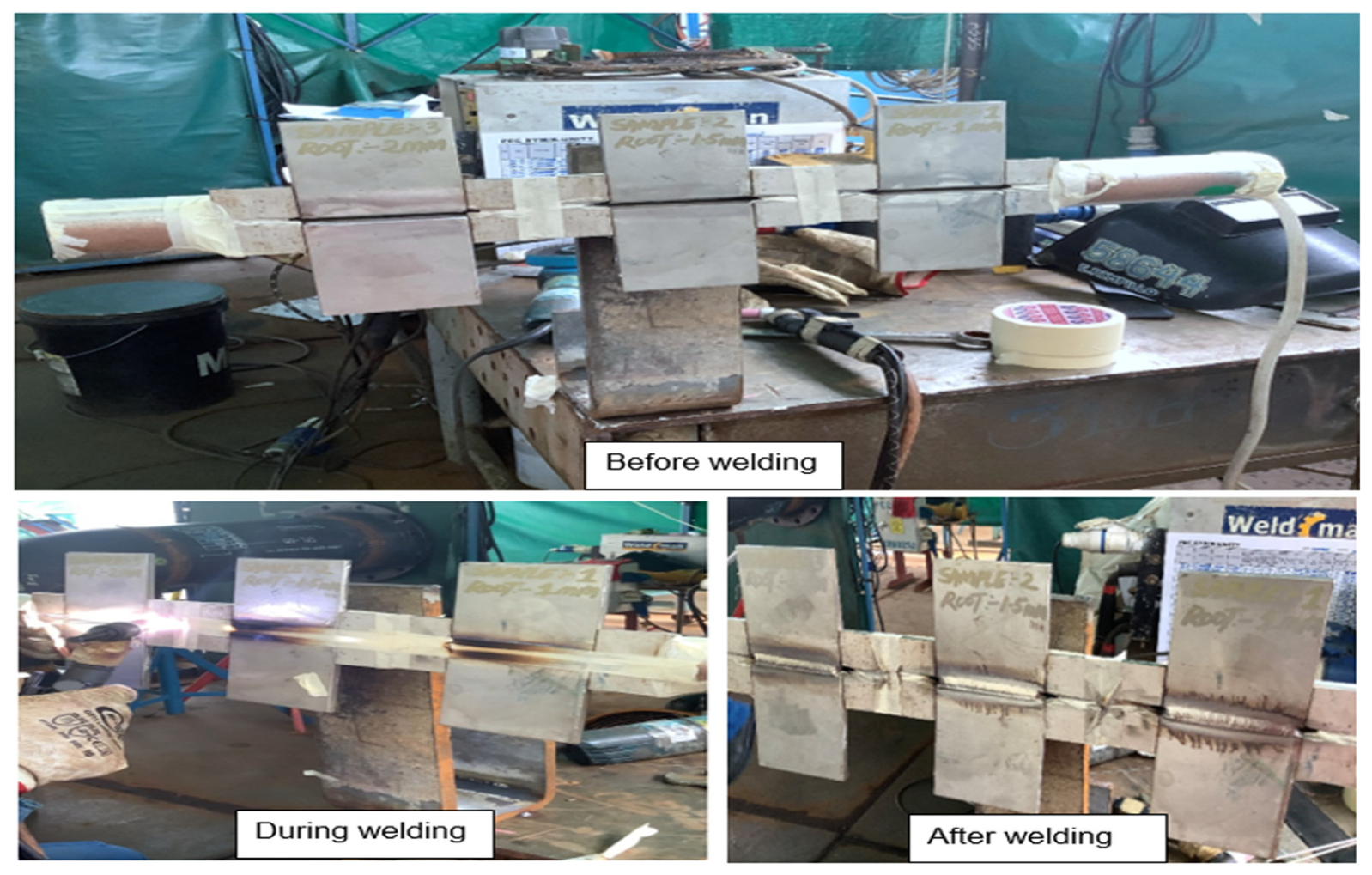 Preprints 156693 g001