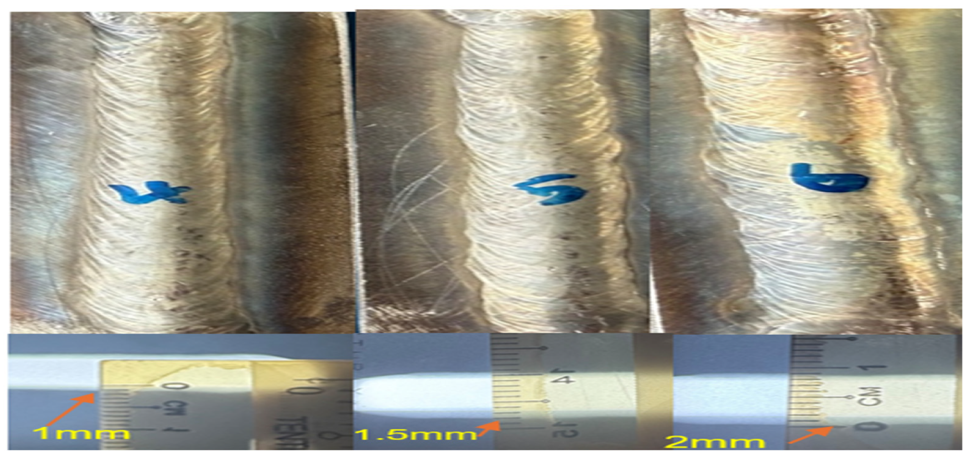 Preprints 156693 g003