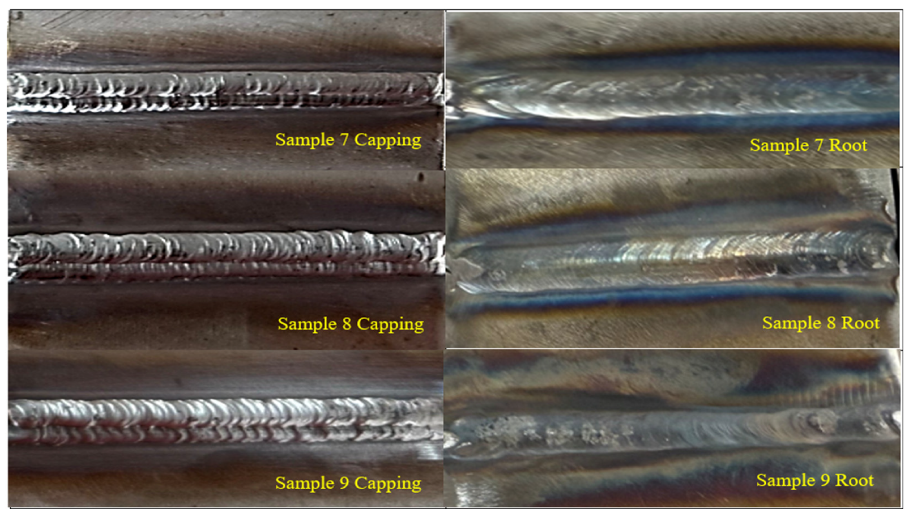 Preprints 156693 g004