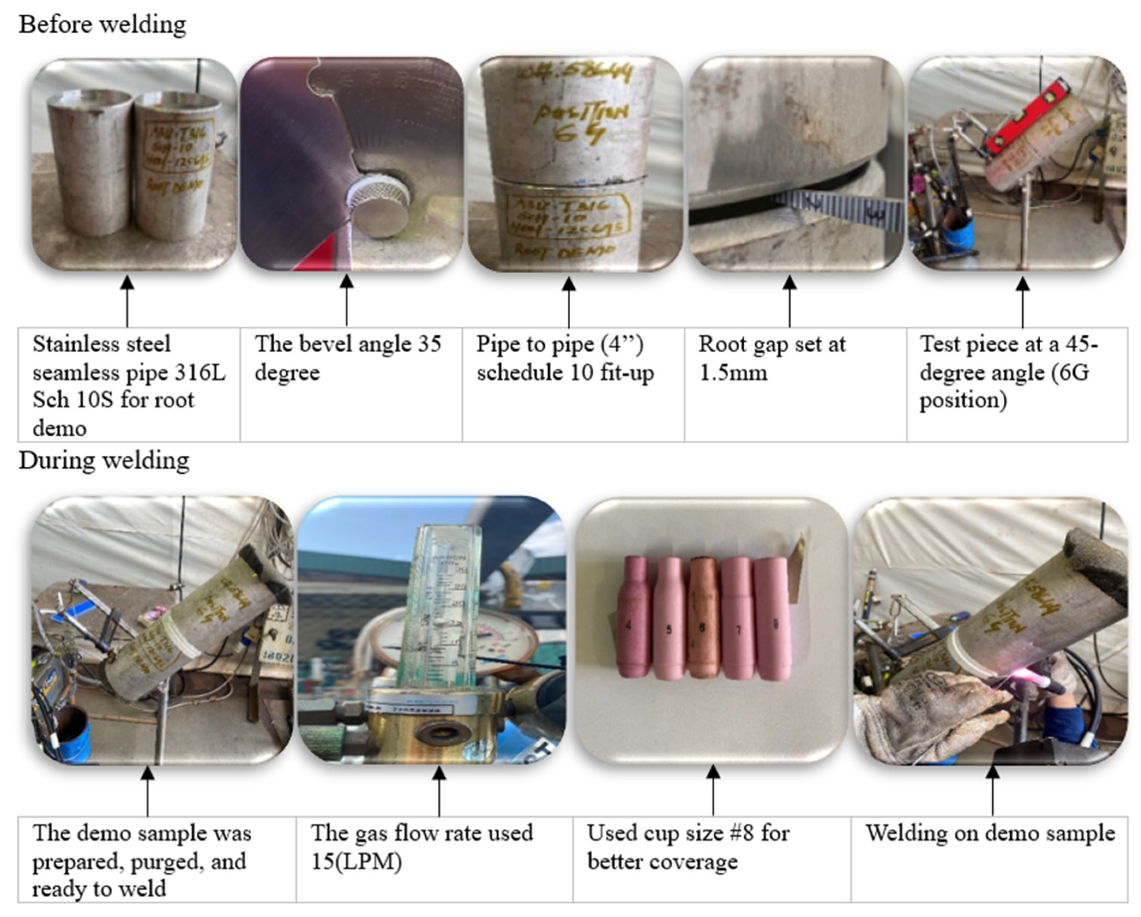 Preprints 156693 g005