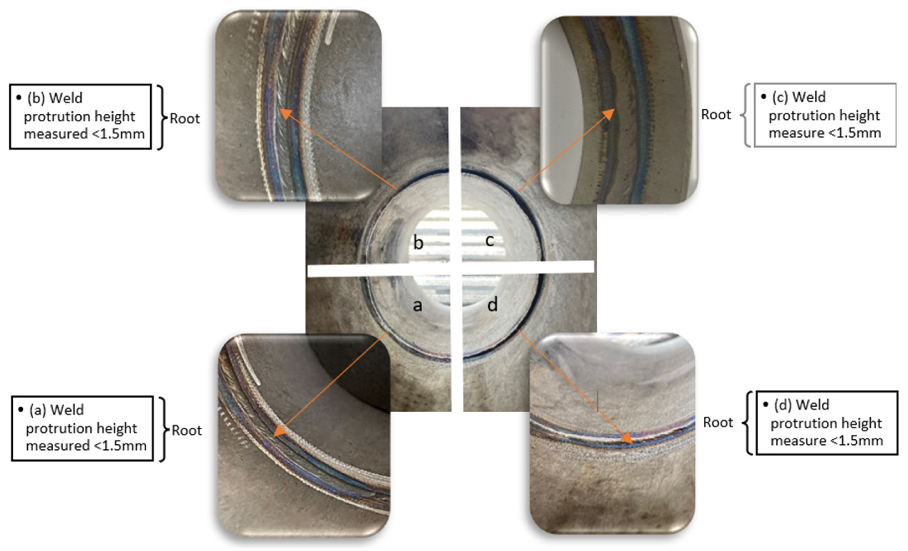 Preprints 156693 g006