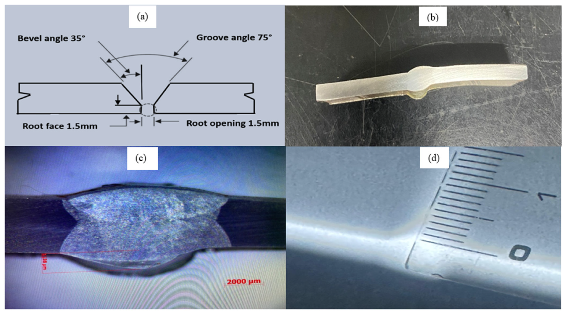 Preprints 156693 g008