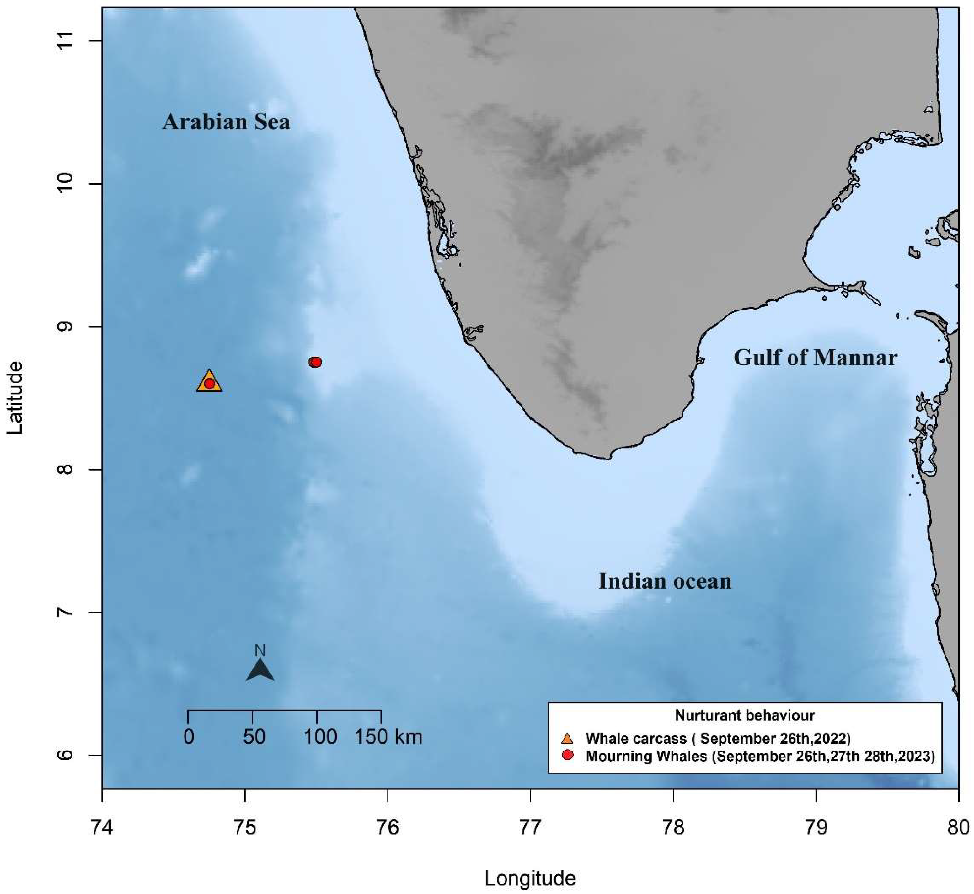 Preprints 144842 g001