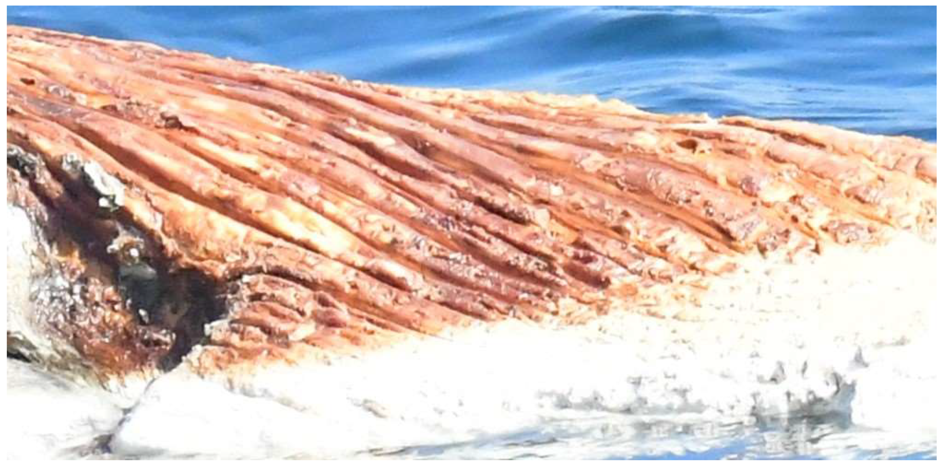 Preprints 144842 g003