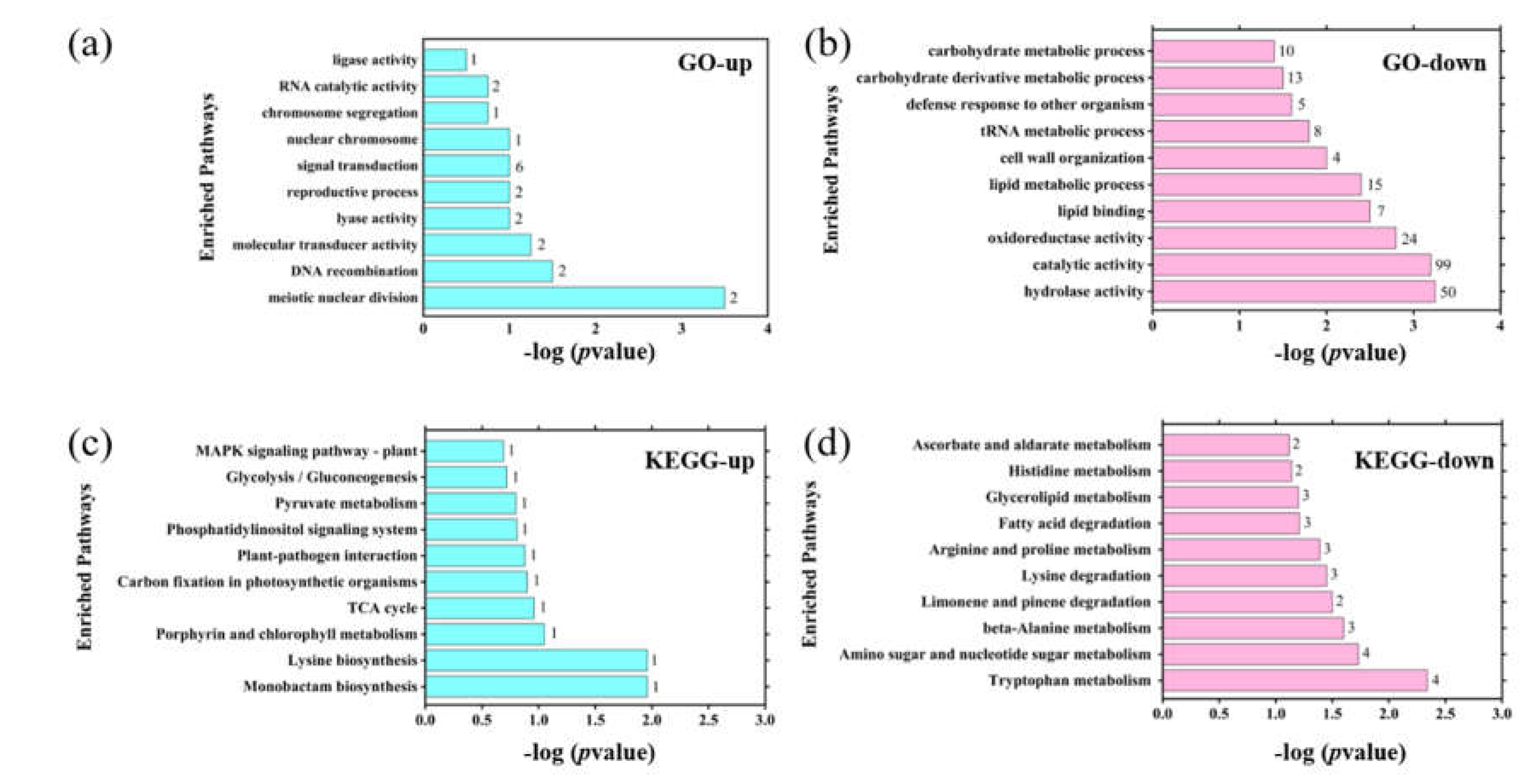 Preprints 209507 g008