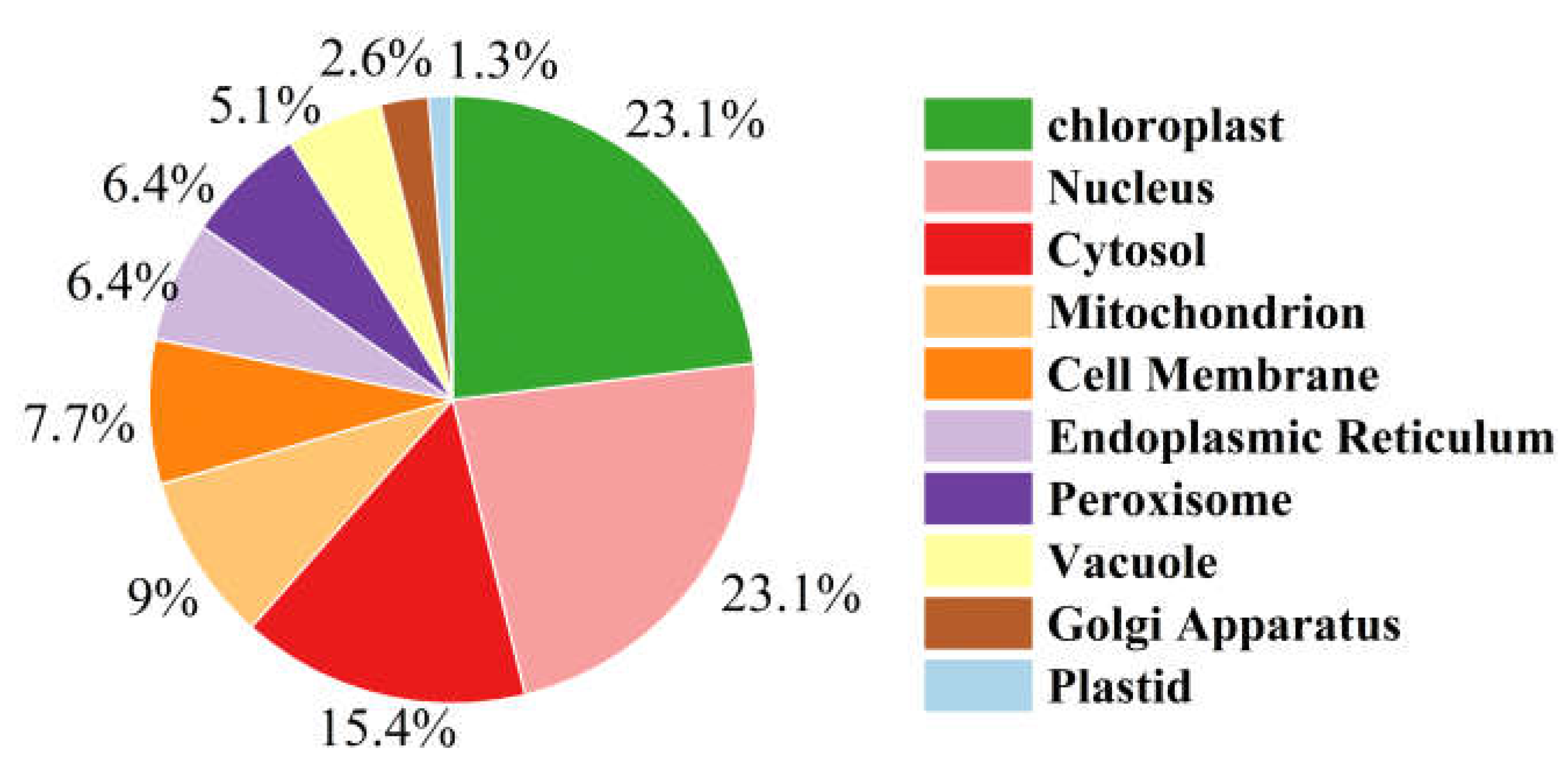 Preprints 209507 g009